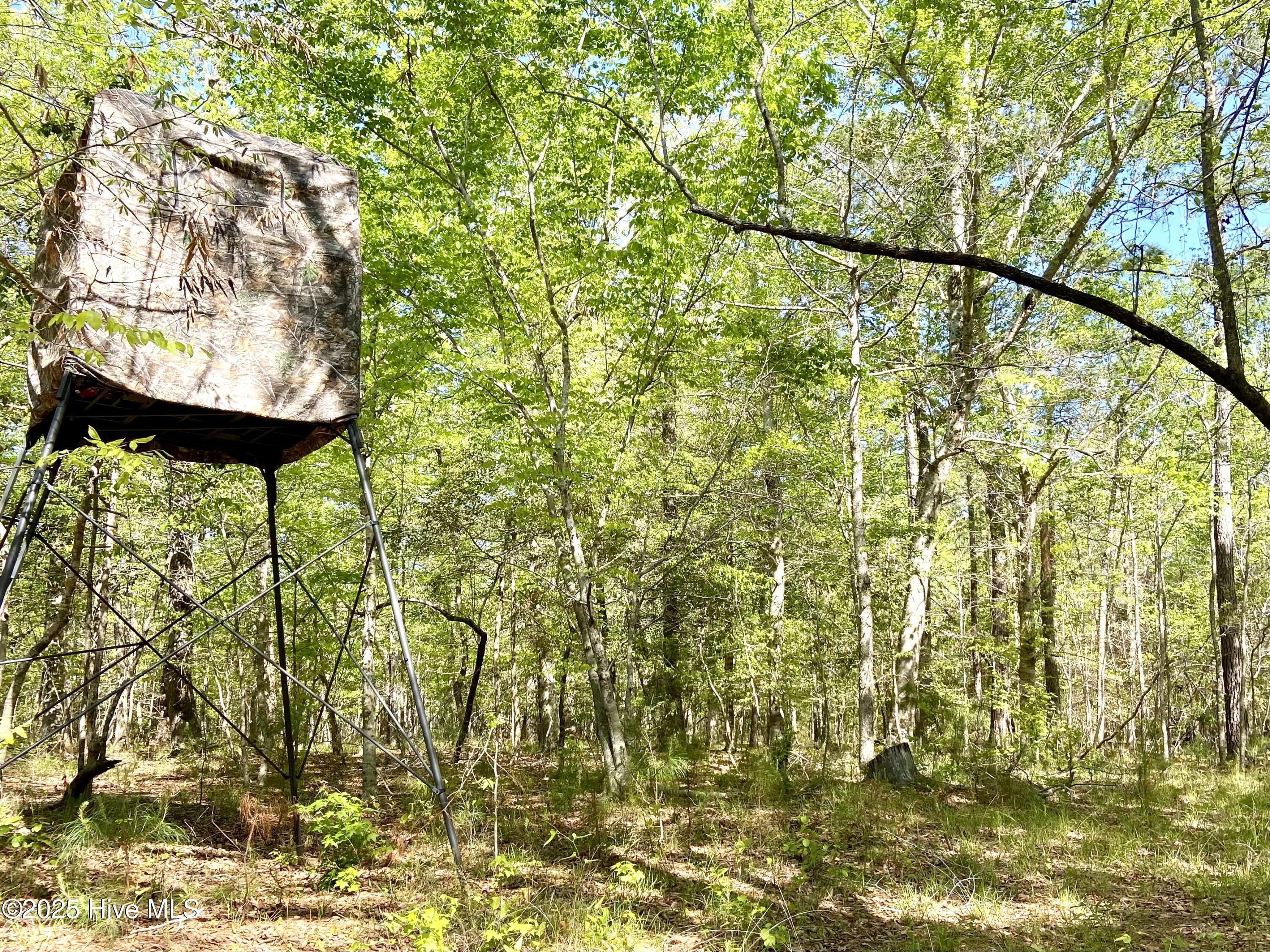 551 Berrys Creek Road Property Photo 9