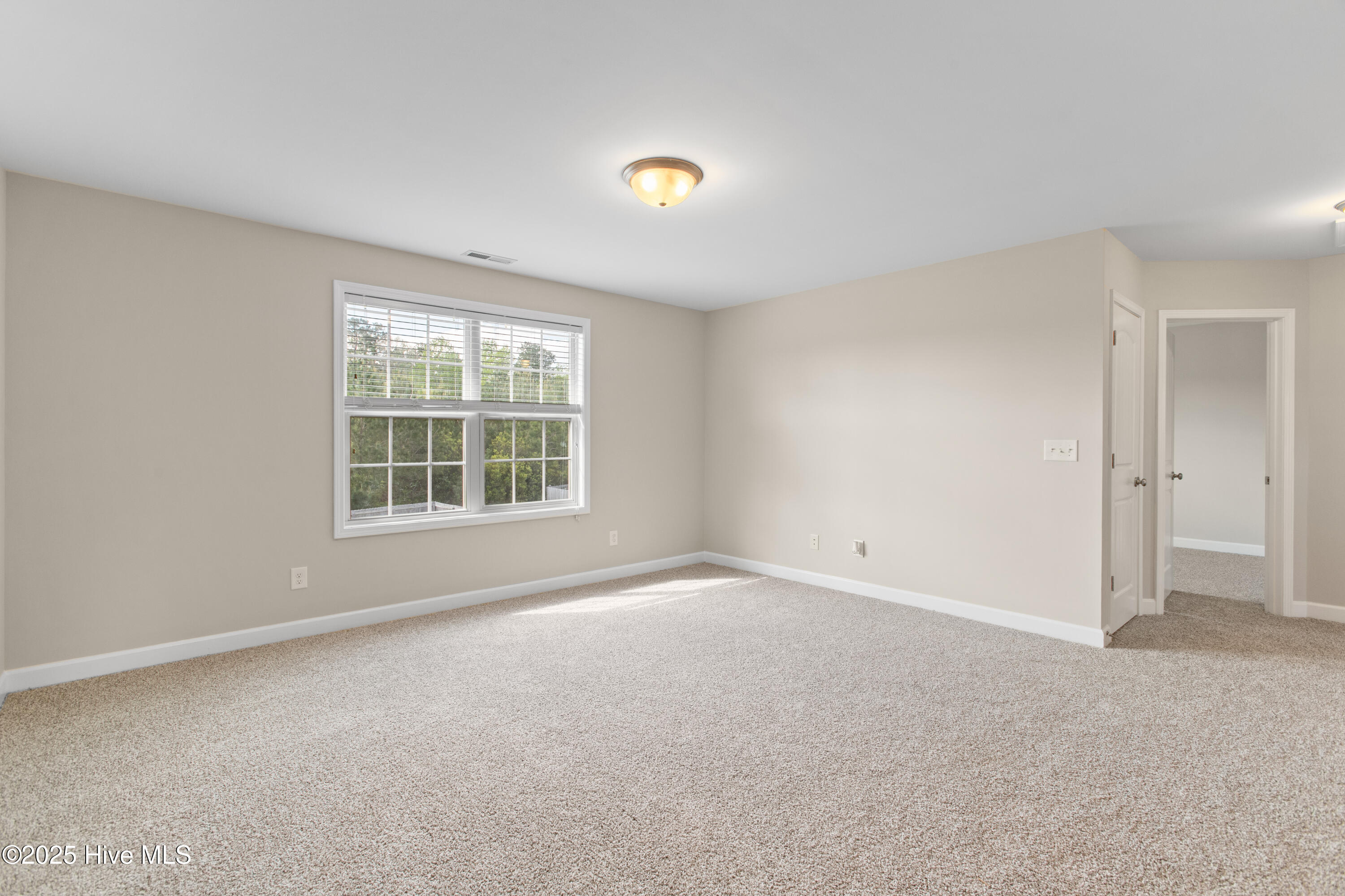 101 Lincolnton Court Property Photo 16