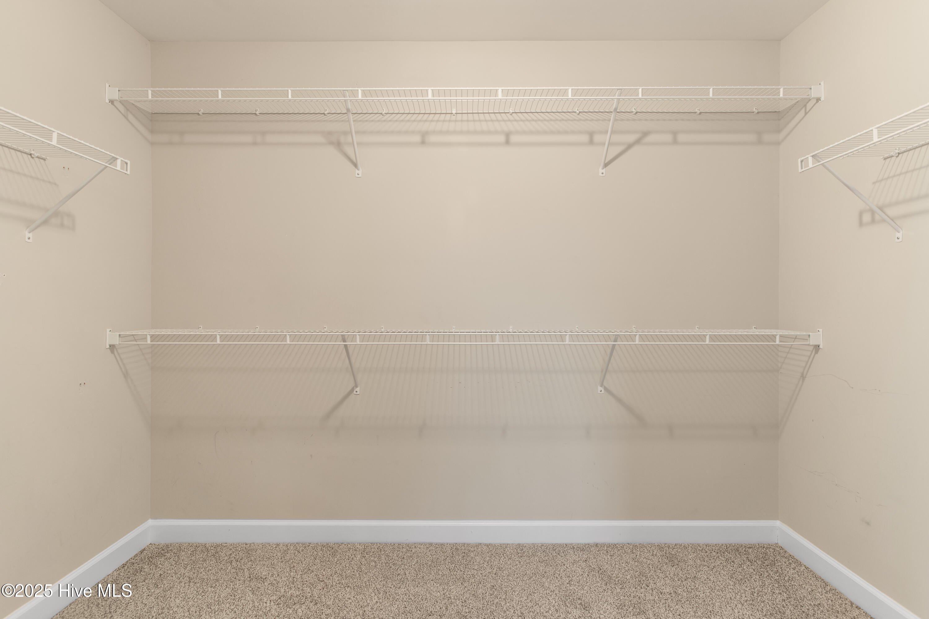 101 Lincolnton Court Property Photo 22