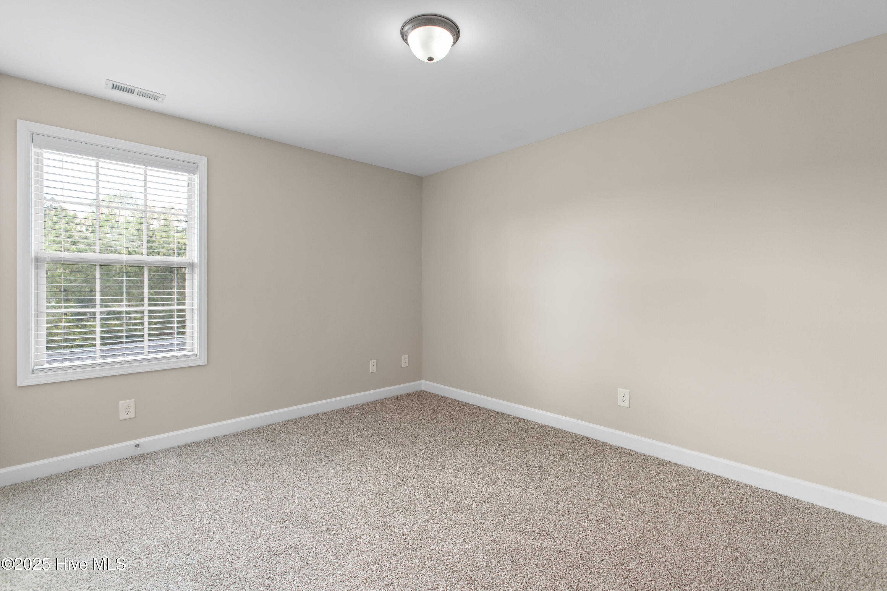101 Lincolnton Court Property Photo 23