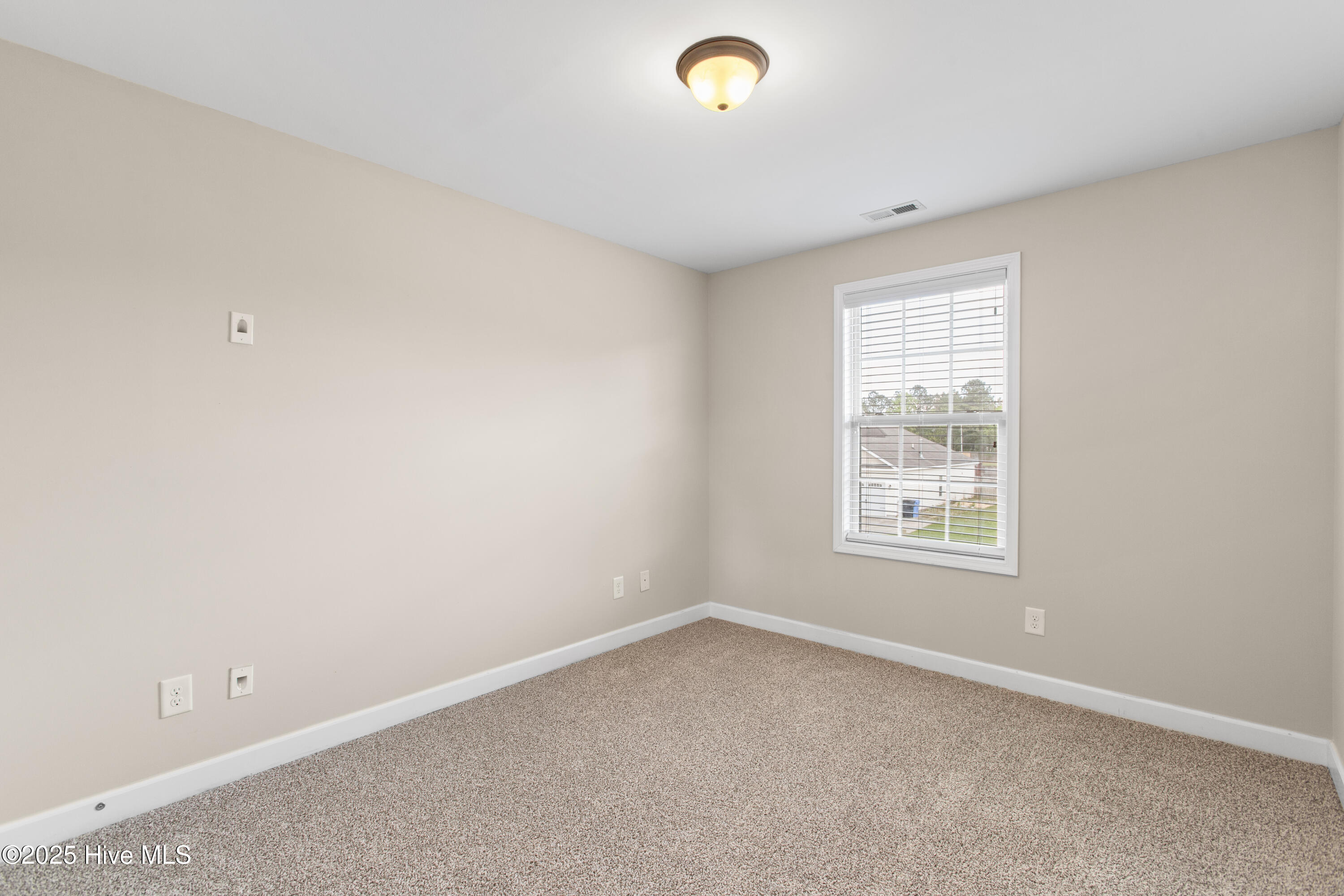 101 Lincolnton Court Property Photo 26