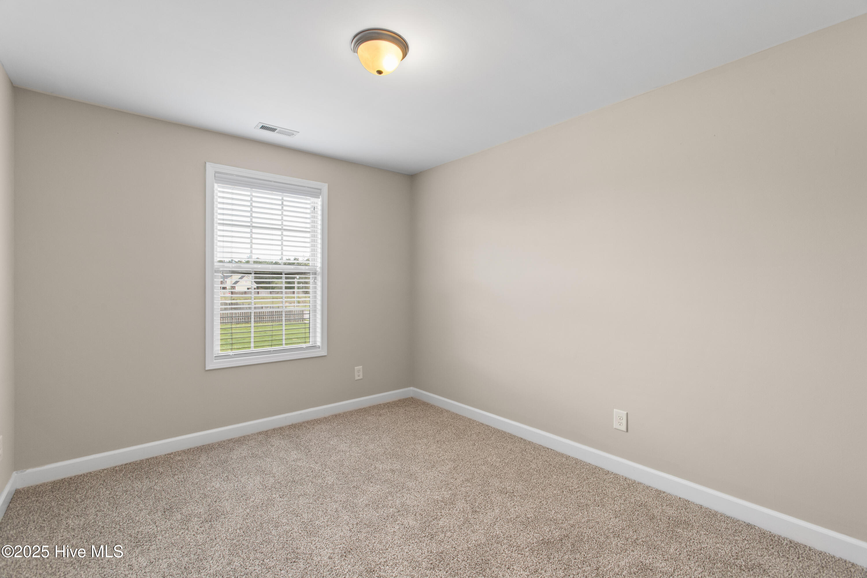 101 Lincolnton Court Property Photo 28