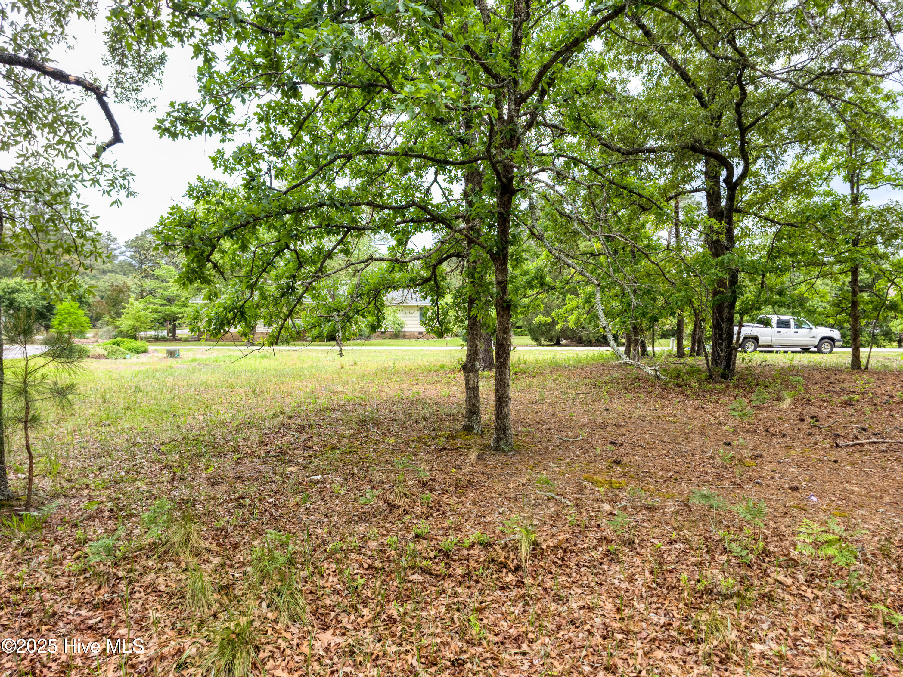 2302 Caracara Drive Property Photo 5