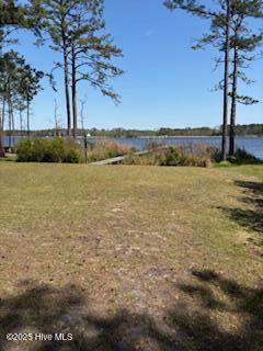 923 Crooked Creek Drive Property Photo 20
