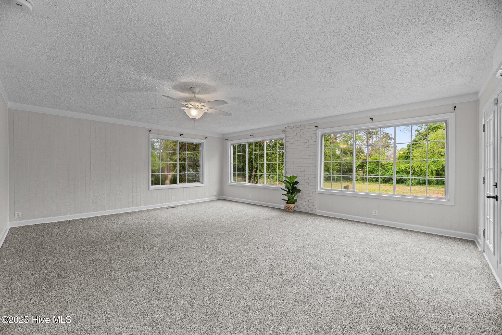 109 Pineview Street Property Photo 22