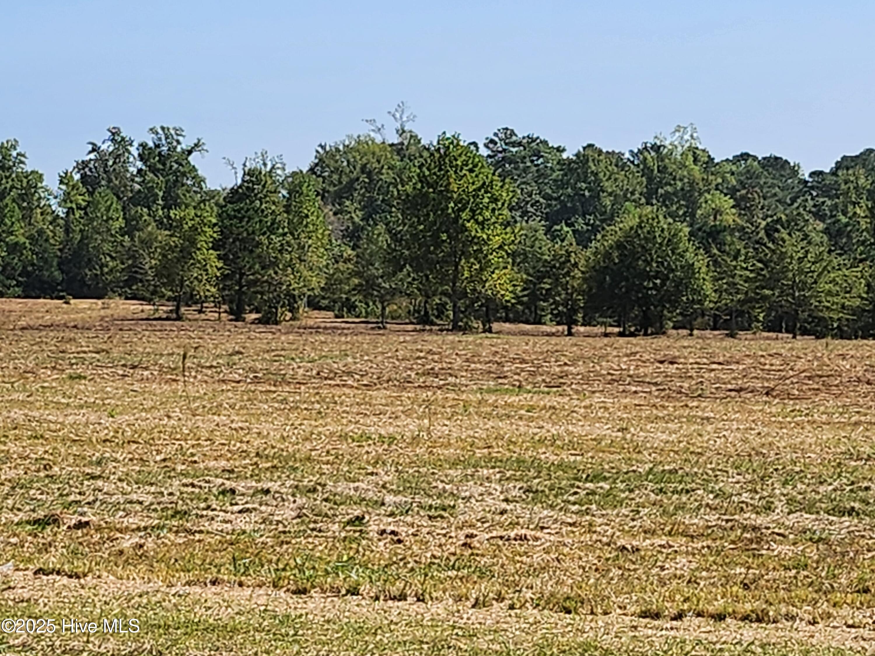 240 Deppe Farm Road Property Photo 4