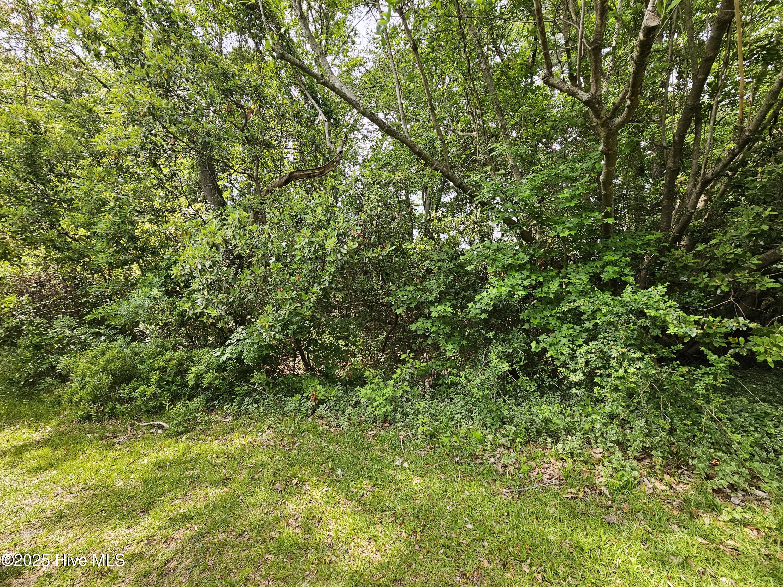 1203 Petite Terre Court Property Photo 2