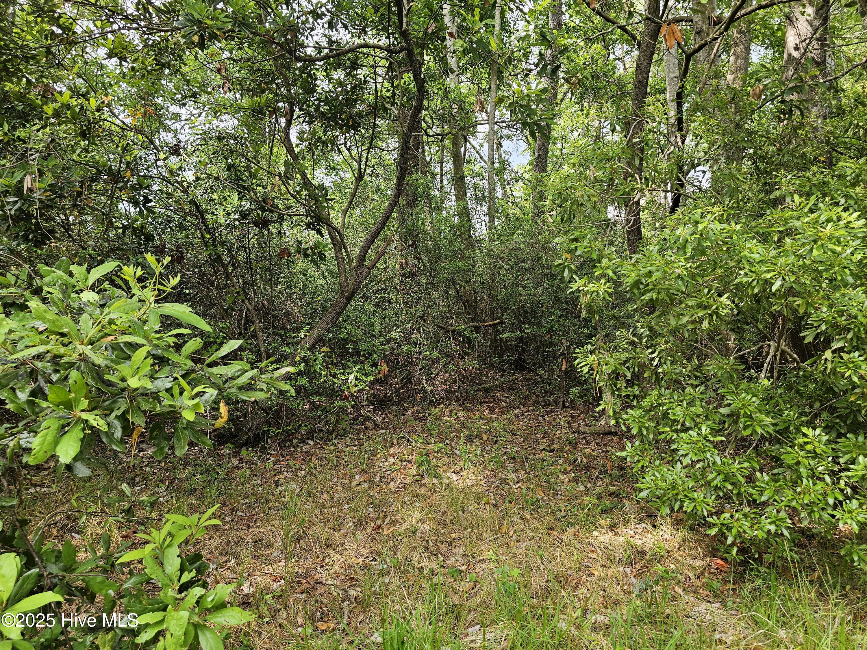 1203 Petite Terre Court Property Photo 3