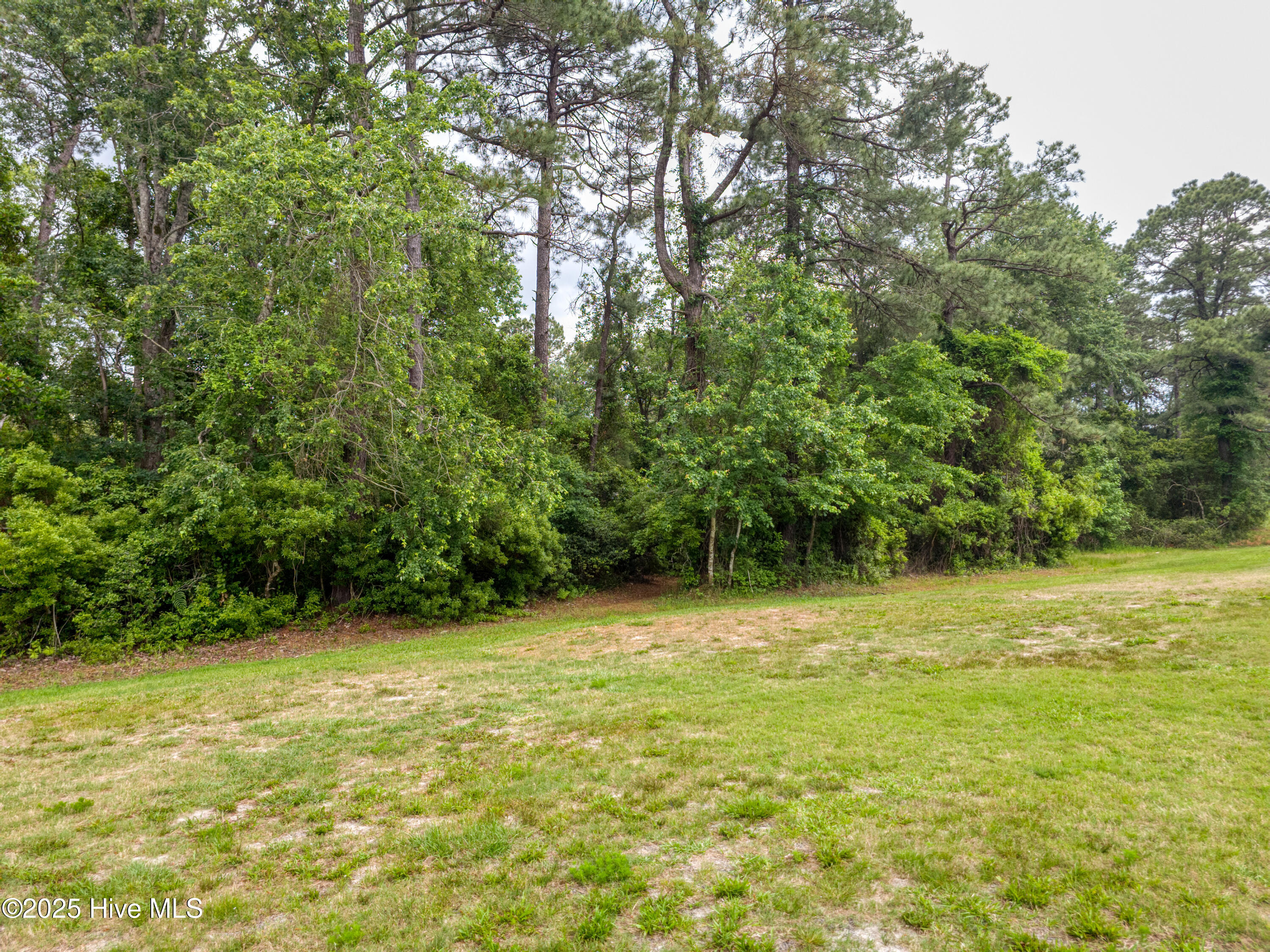 1203 Petite Terre Court Property Photo 5
