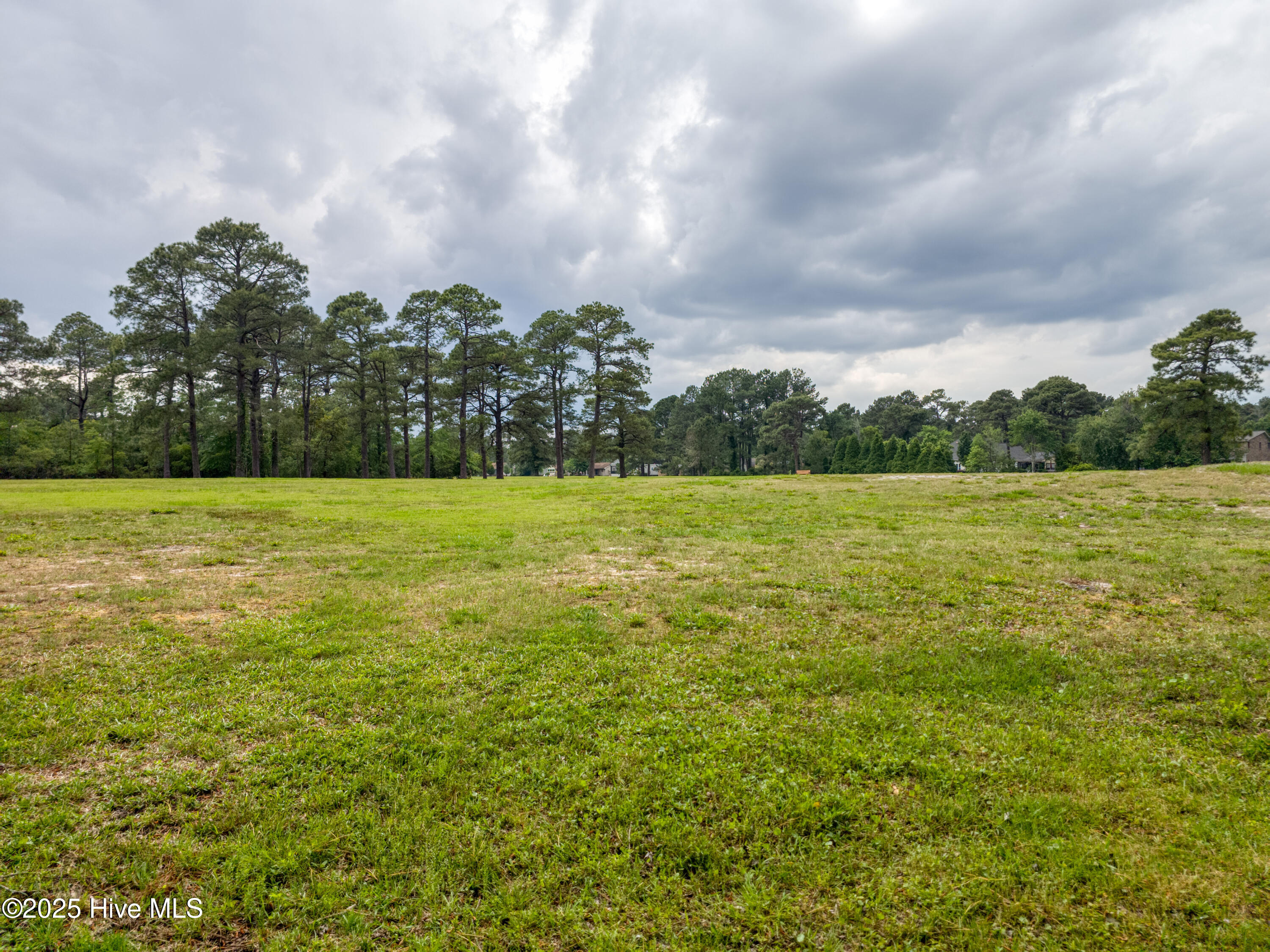 1203 Petite Terre Court Property Photo 6