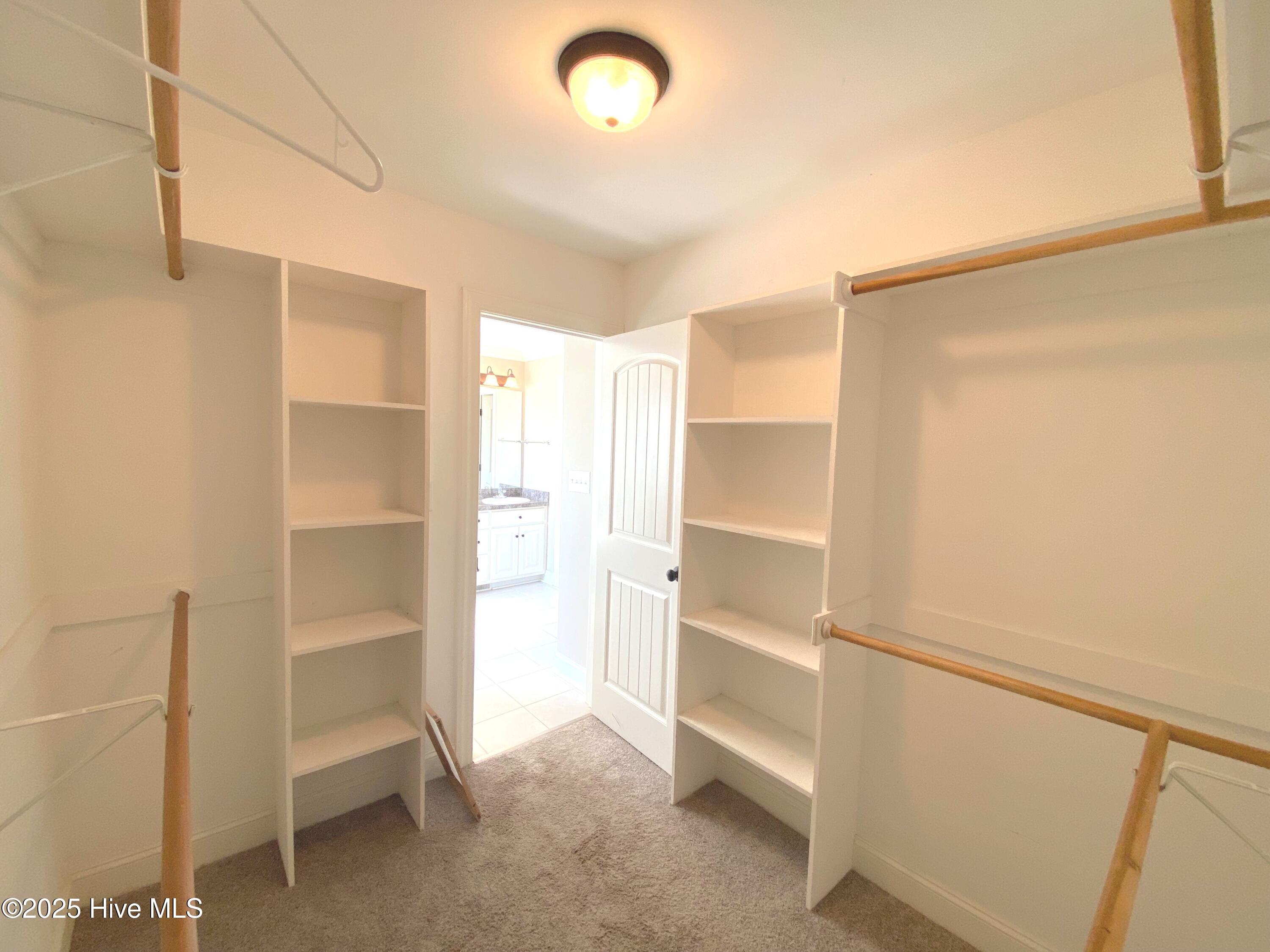 3161 Chesswood Lane Property Photo 17