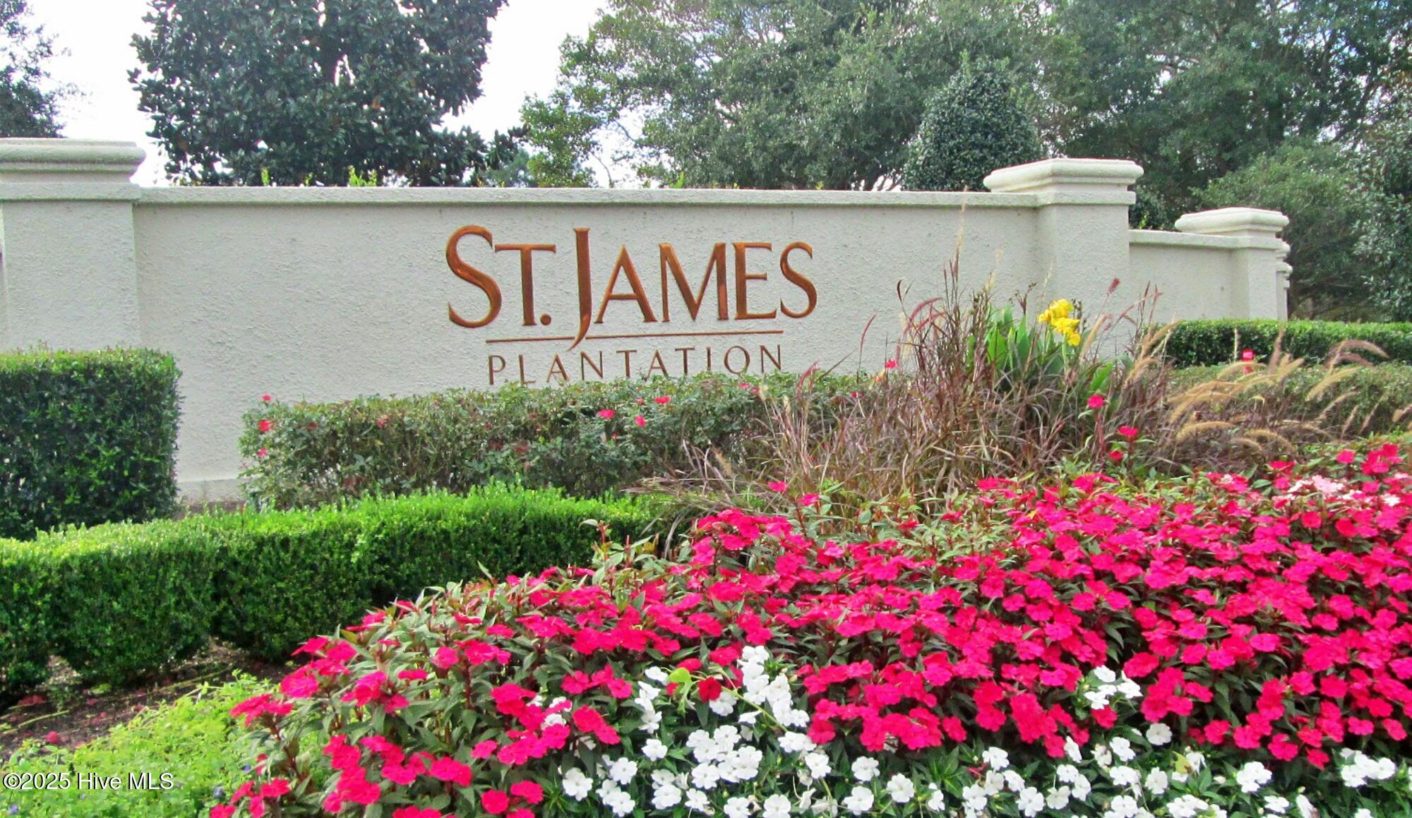 4360 Polly Gully Court Property Photo 3