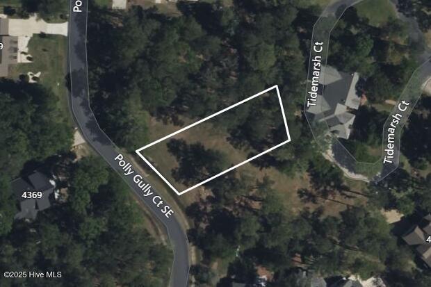 4374 Polly Gully Court Property Photo 1