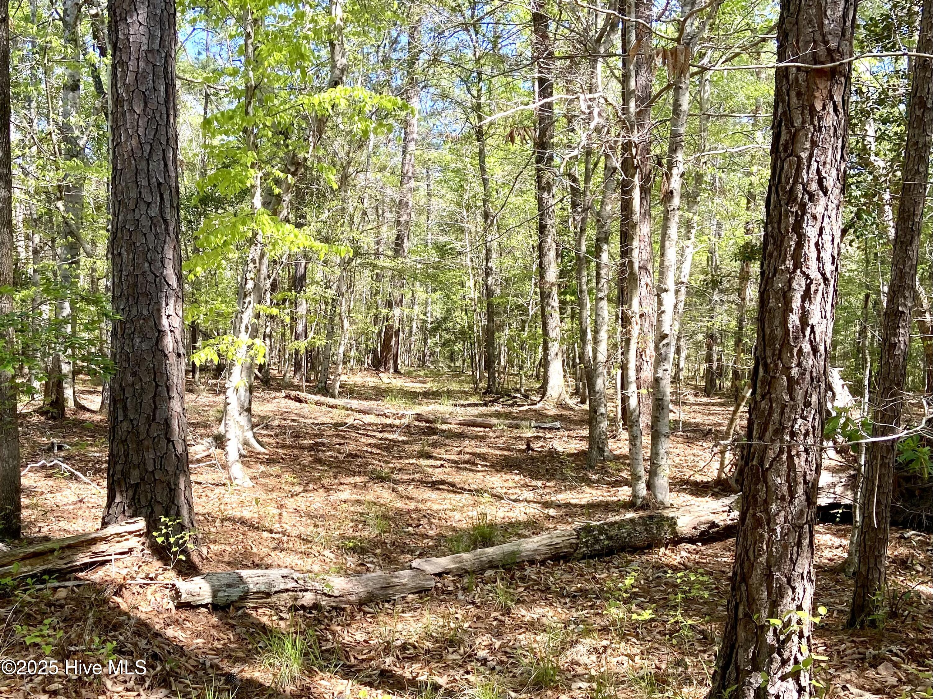 Lot 2 Berrys Creek Road Property Photo