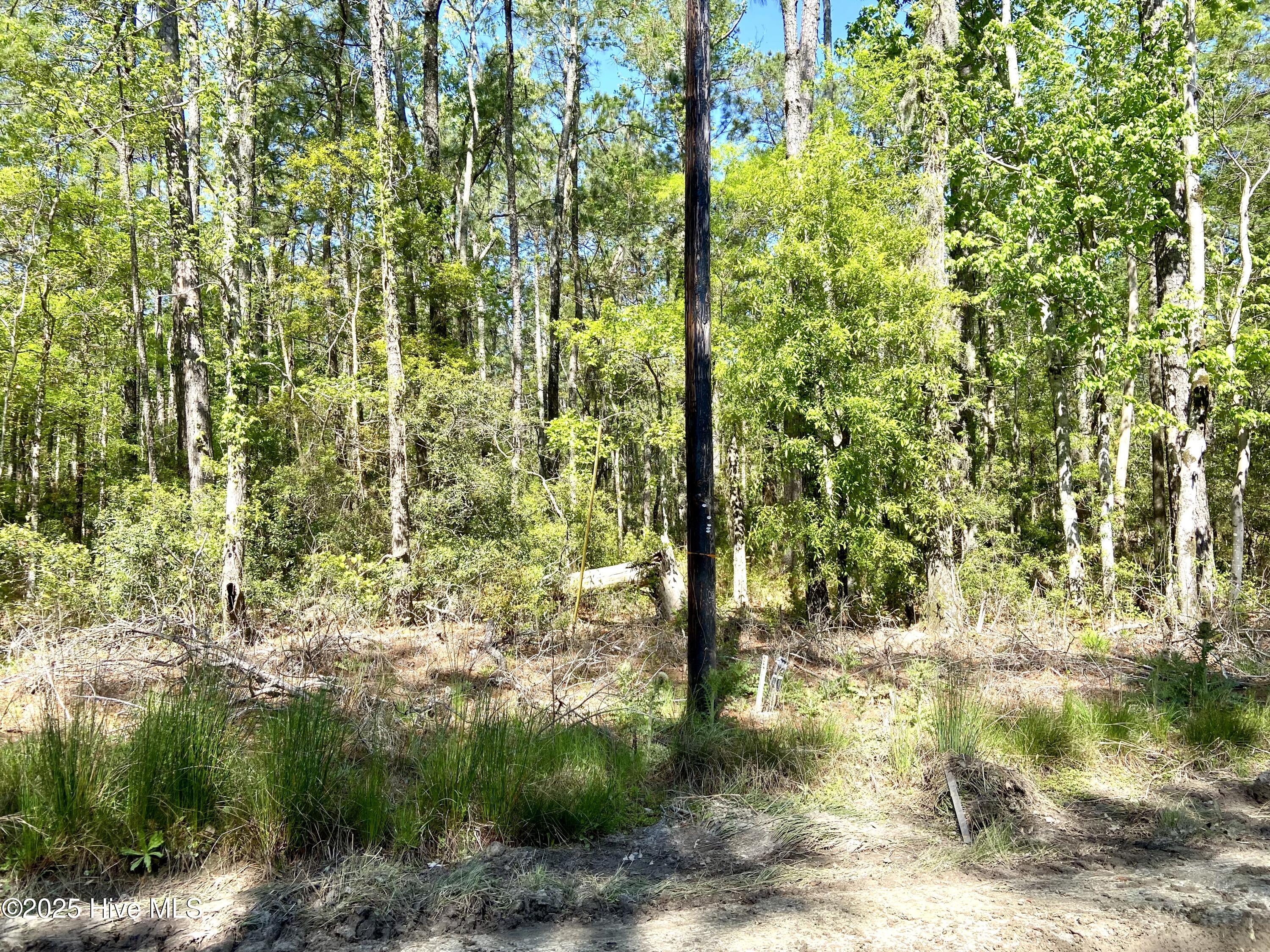Lot 2 Berrys Creek Road Property Photo 5