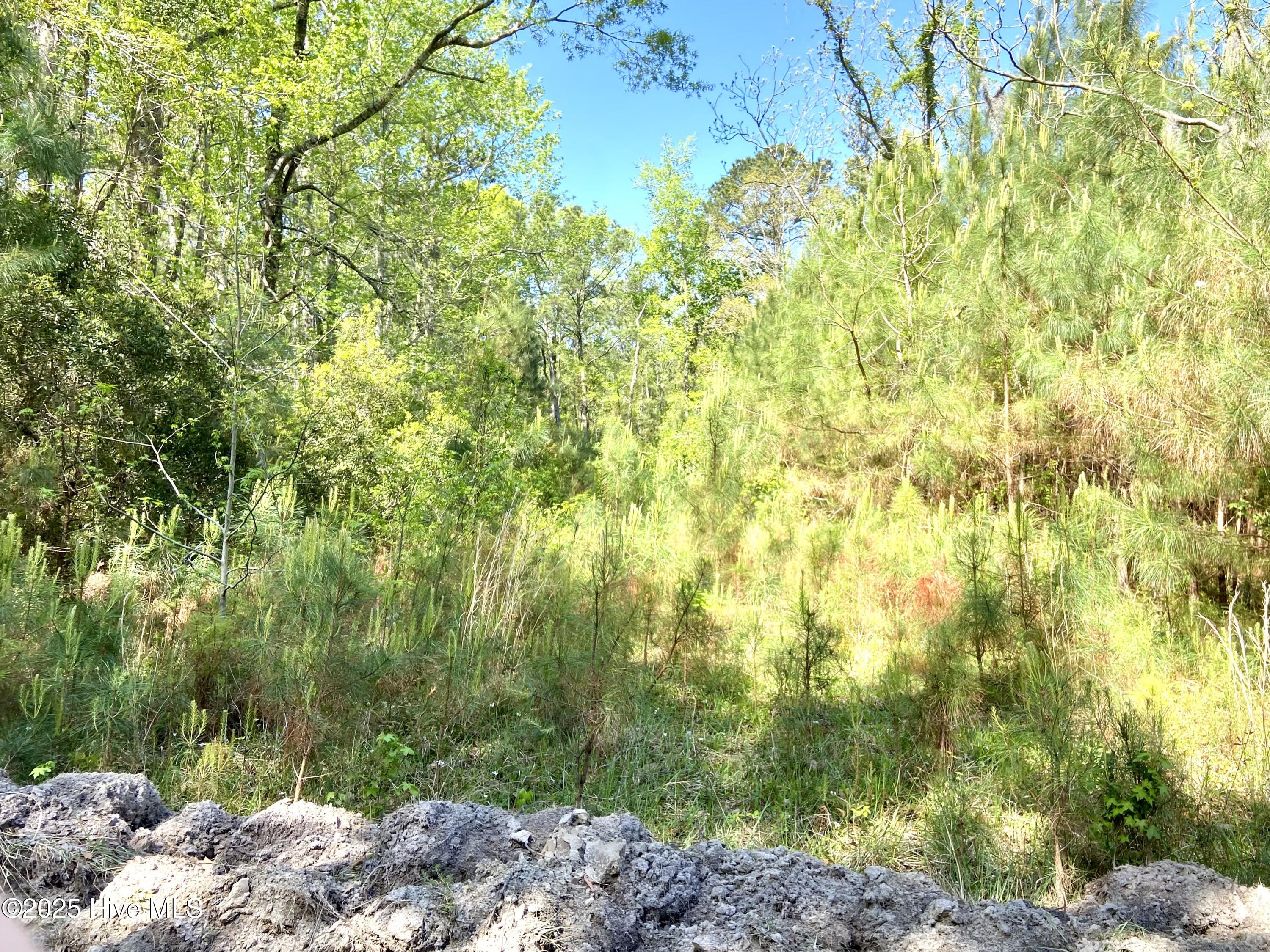 Lot 2 Berrys Creek Road Property Photo 6