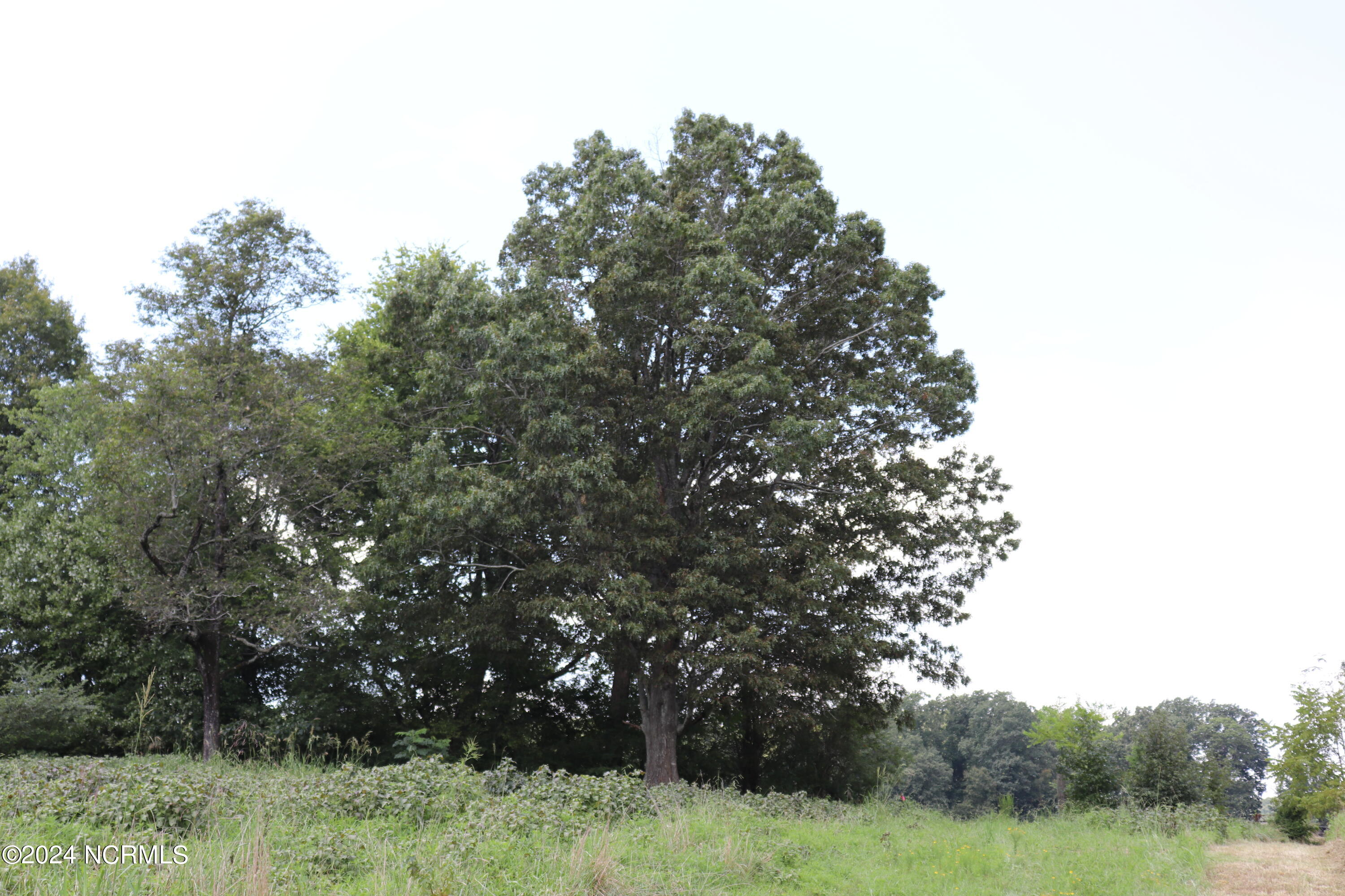 165 Kmj Ranch Road Property Photo 31