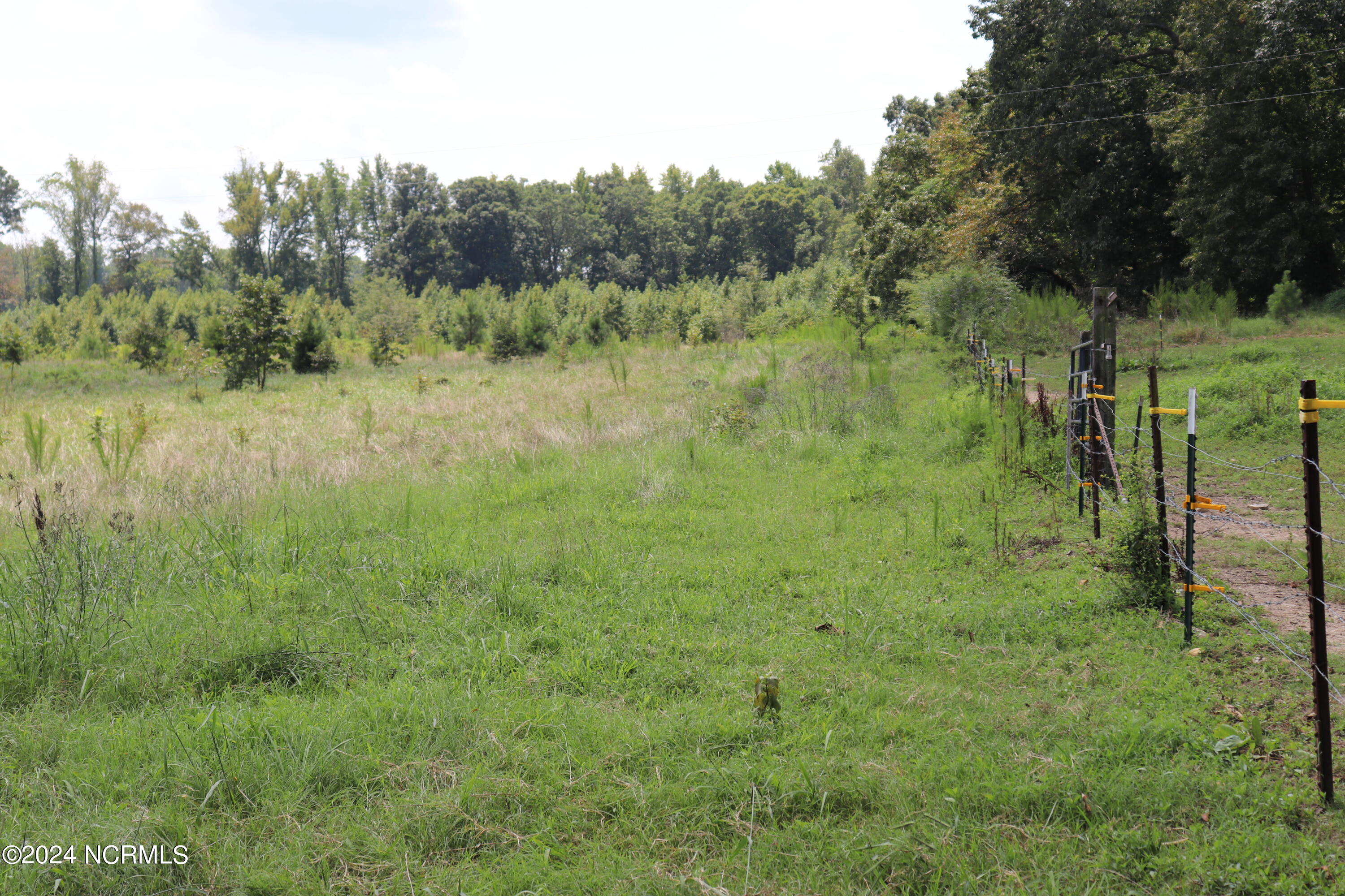 165 Kmj Ranch Road Property Photo 38