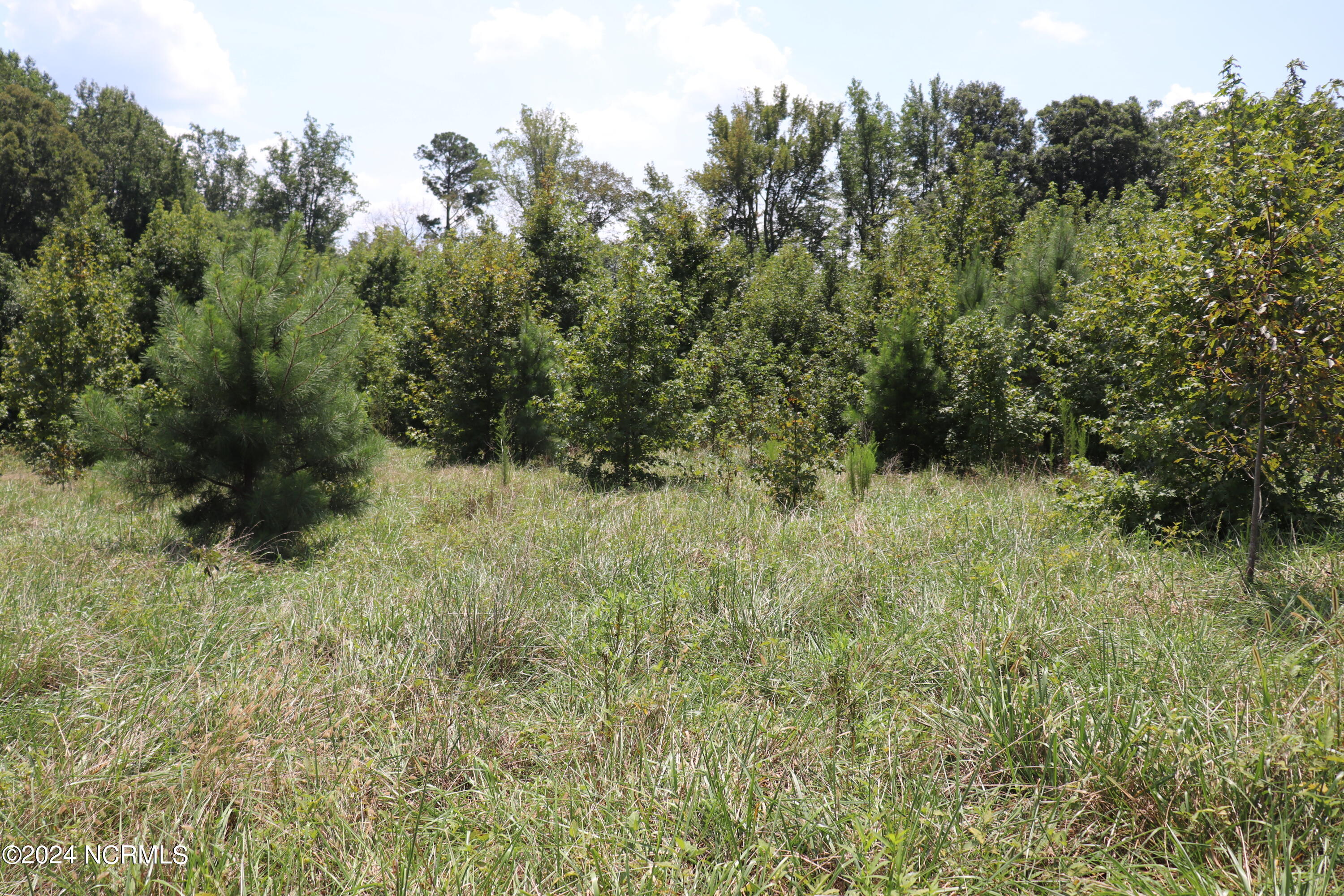 165 Kmj Ranch Road Property Photo 41