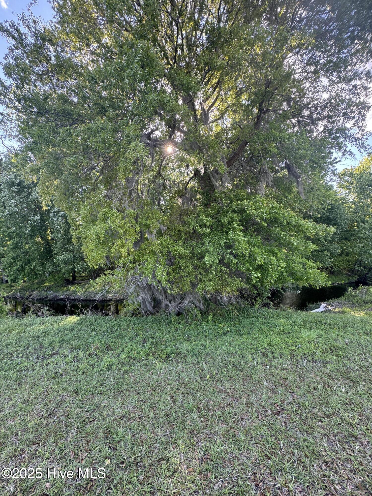 1148 Main Street Property Photo 10