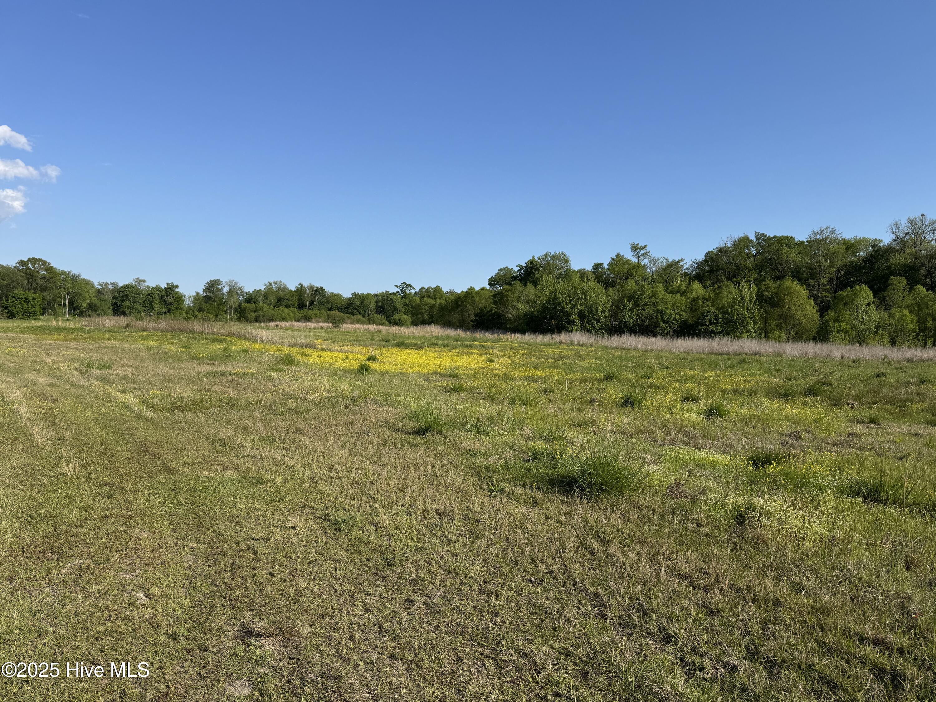 1148 Main Street Property Photo 16