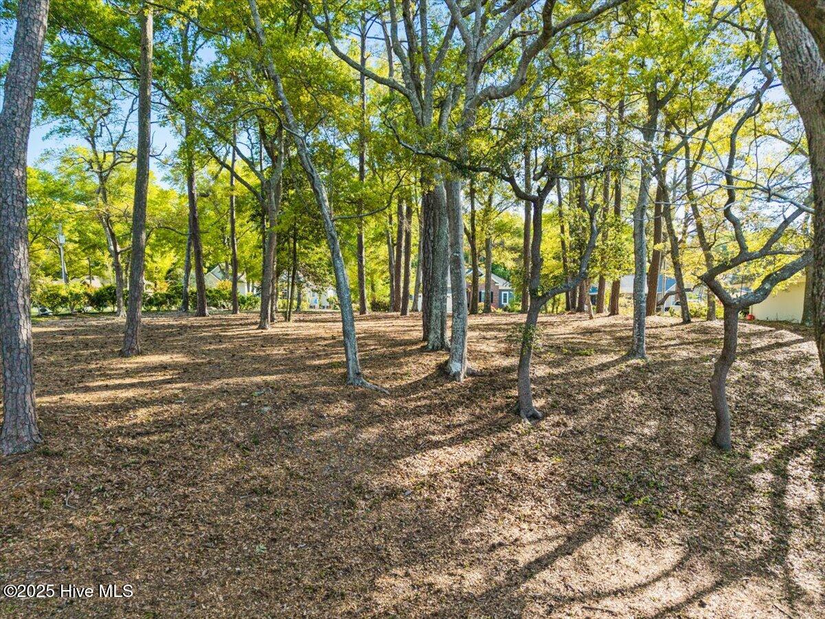 409 Lake Shore Drive Property Photo 21