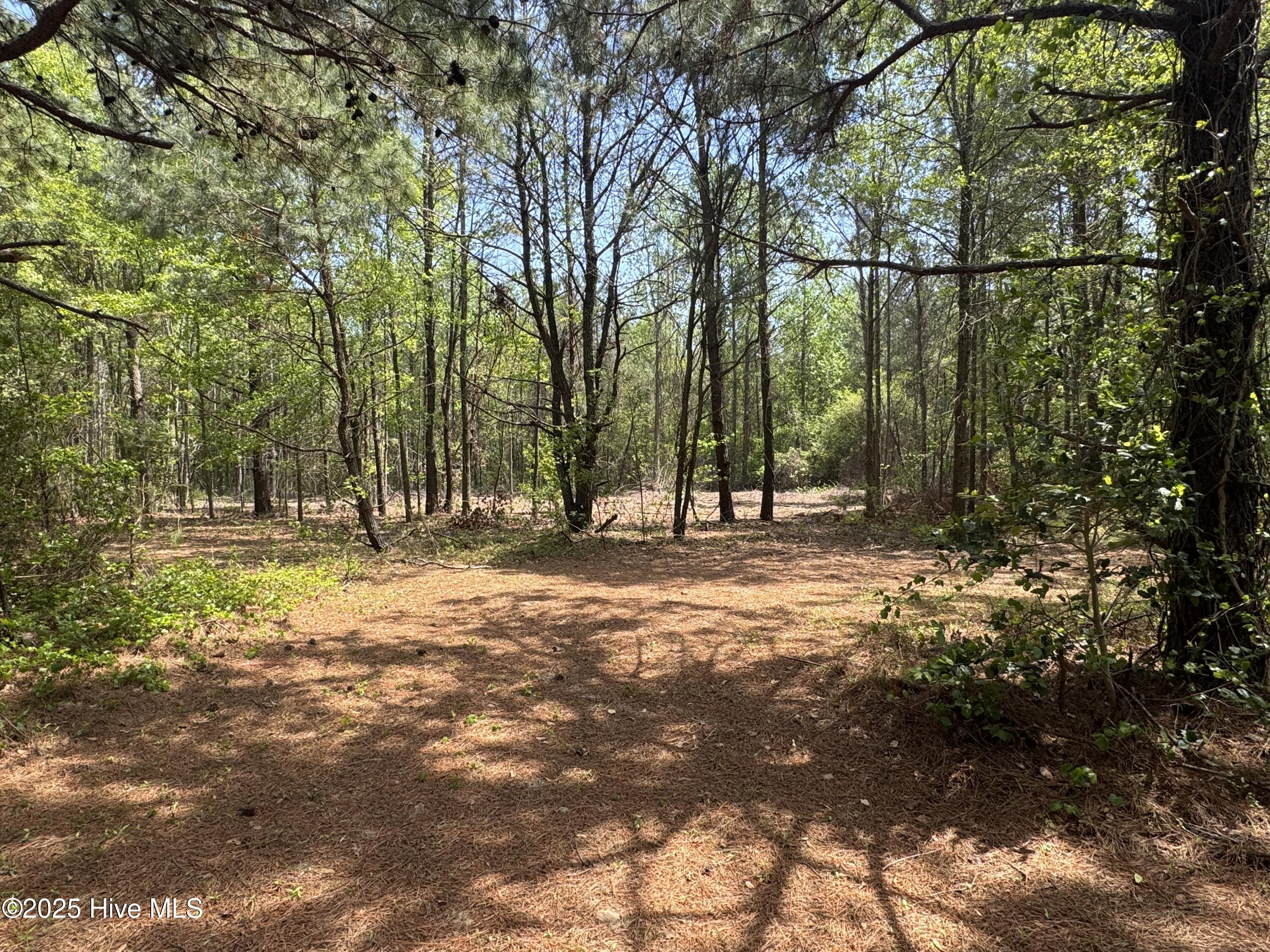 1291 Veachs Mill Road Property Photo