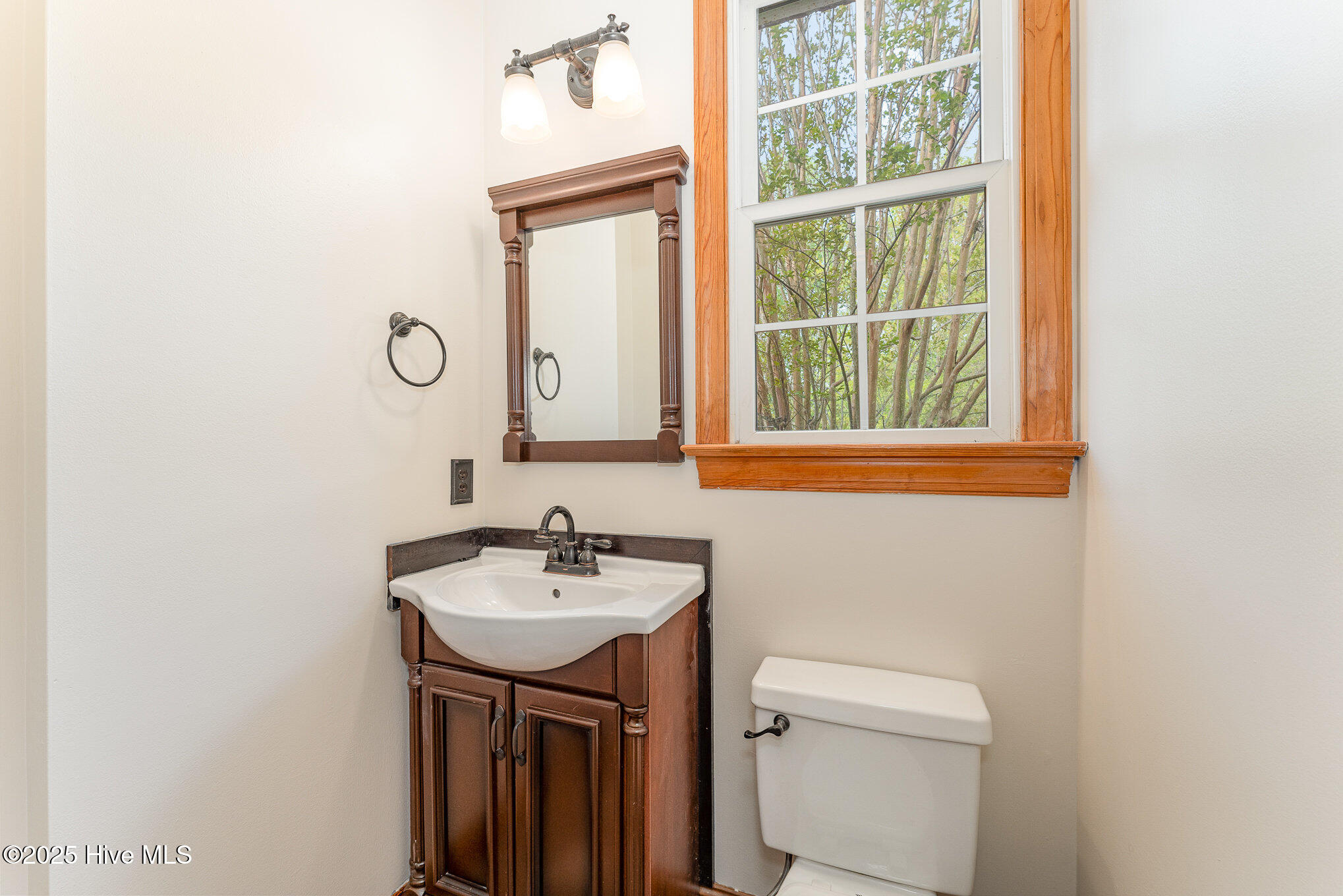 317 William Drive Property Photo 12