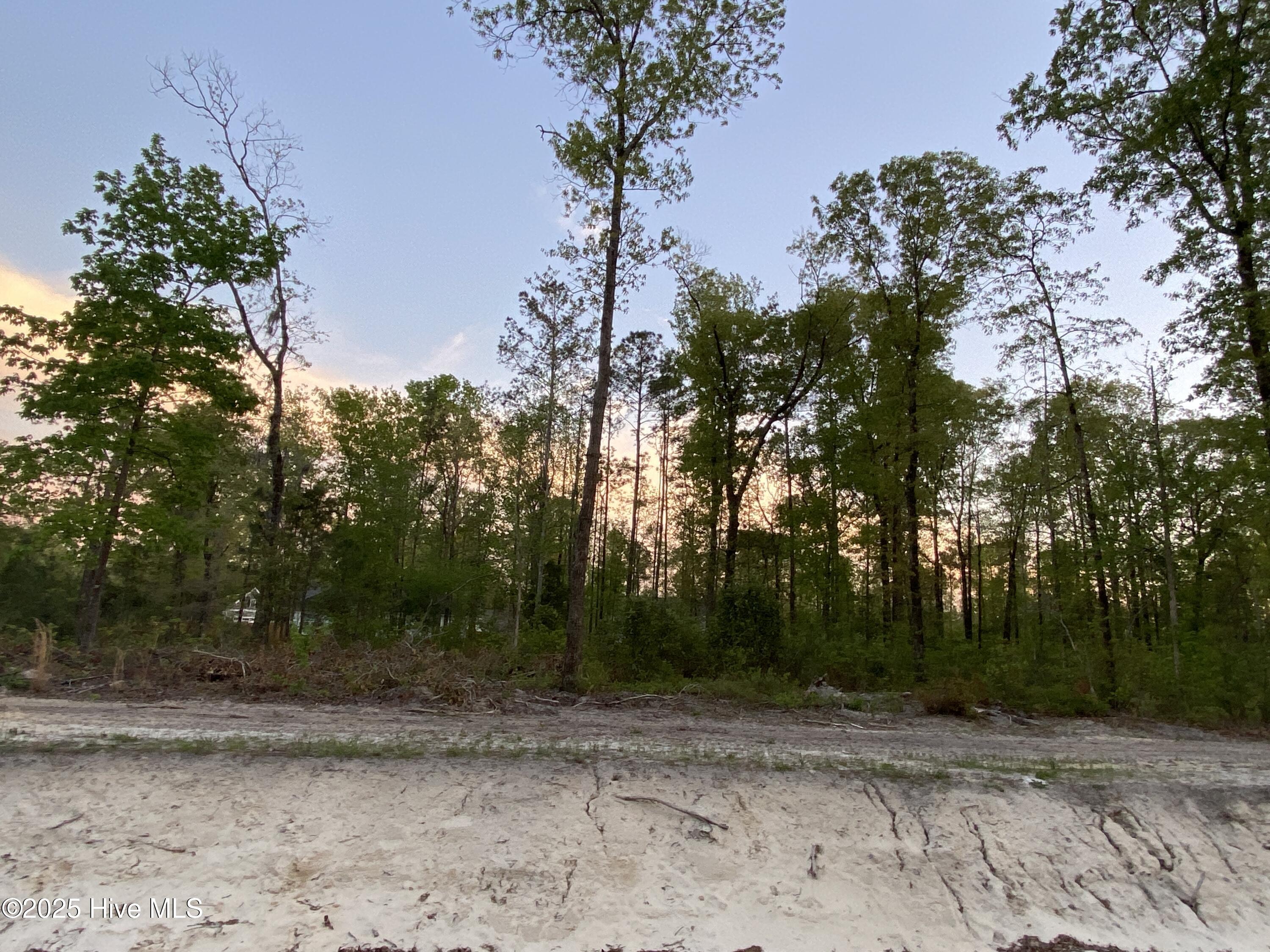 Lot 31 Plover Way Property Photo
