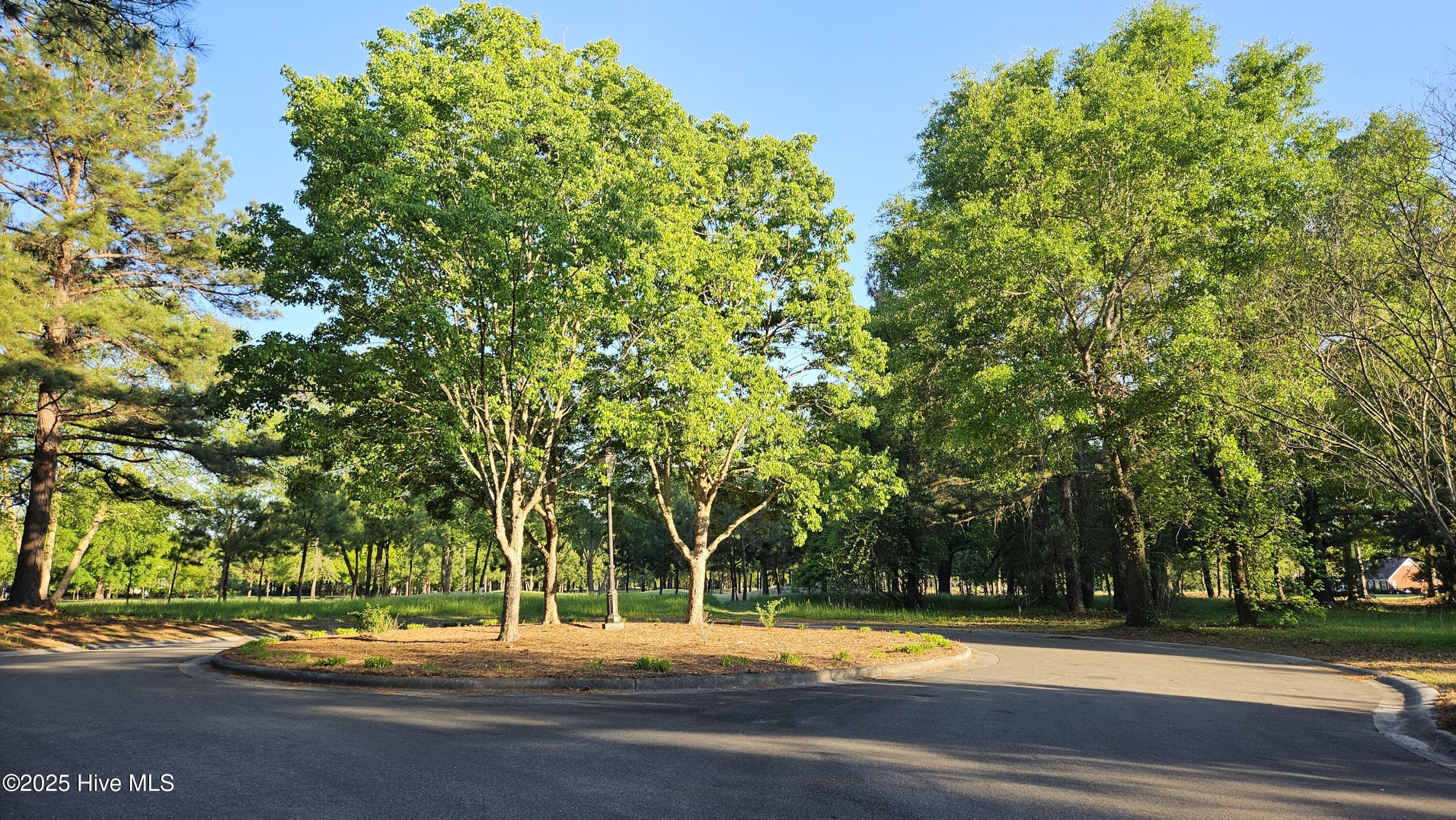 176 Red Fox Run Drive Property Photo 7