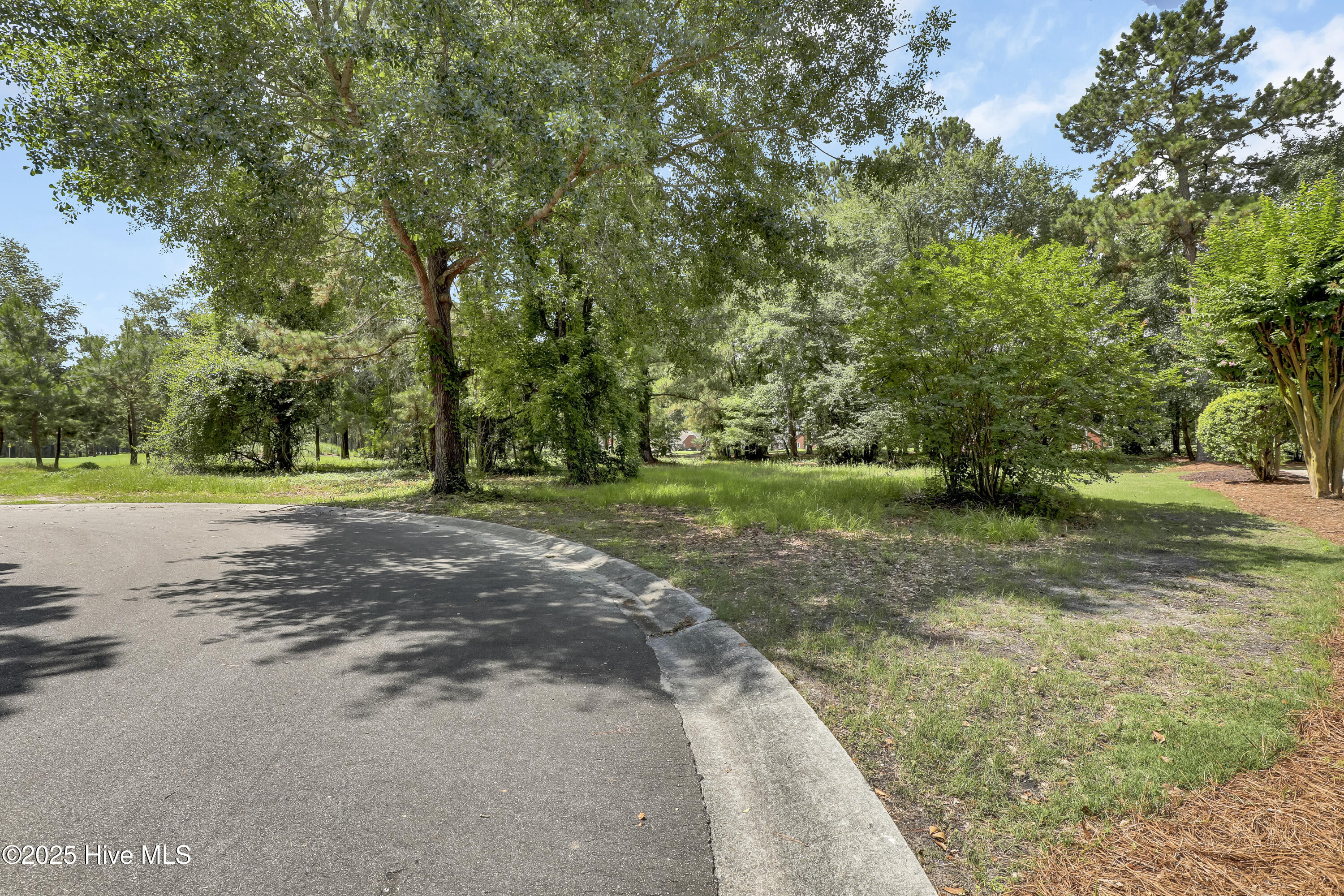 176 Red Fox Run Drive Property Photo 8