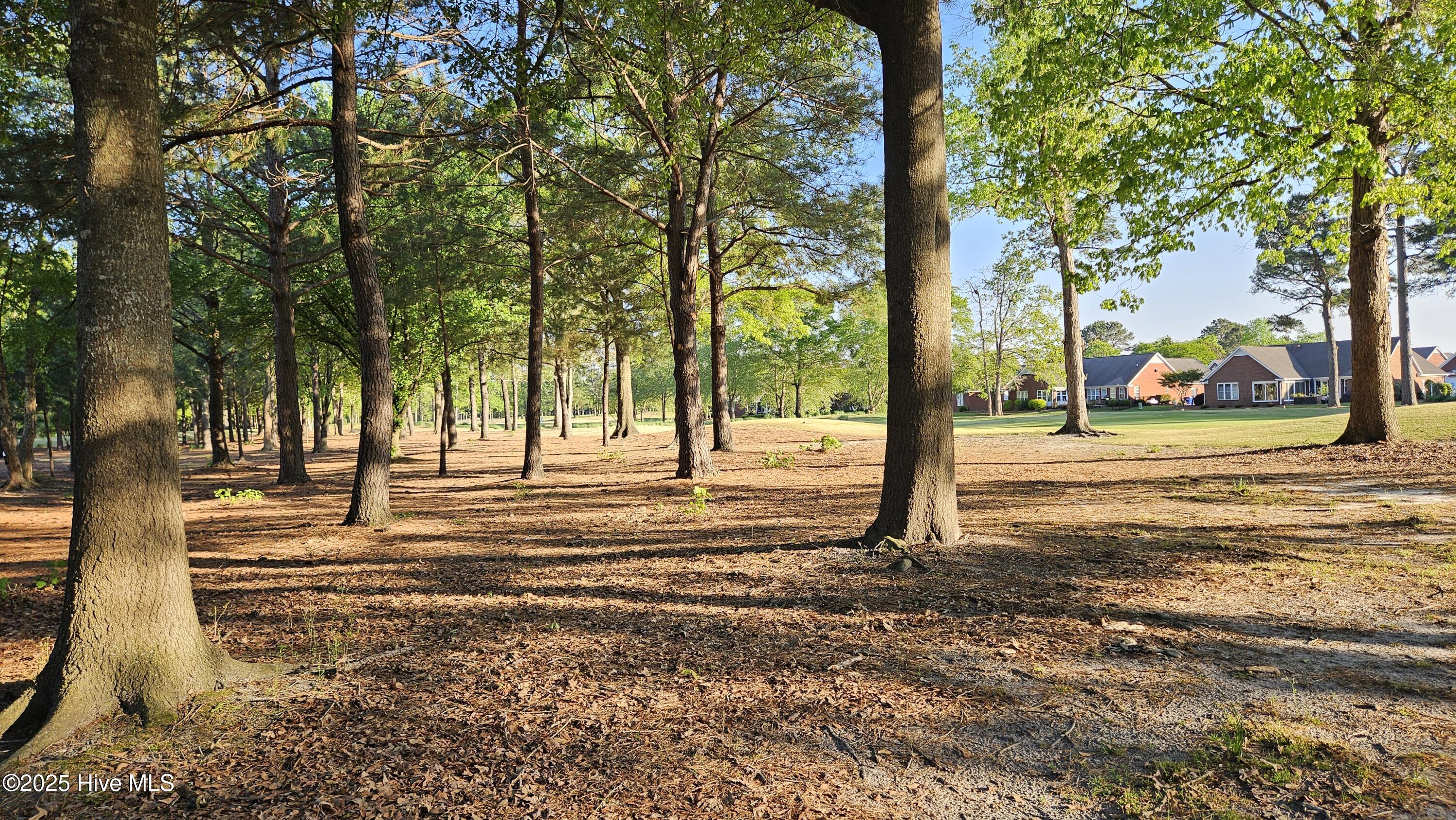 176 Red Fox Run Drive Property Photo 9