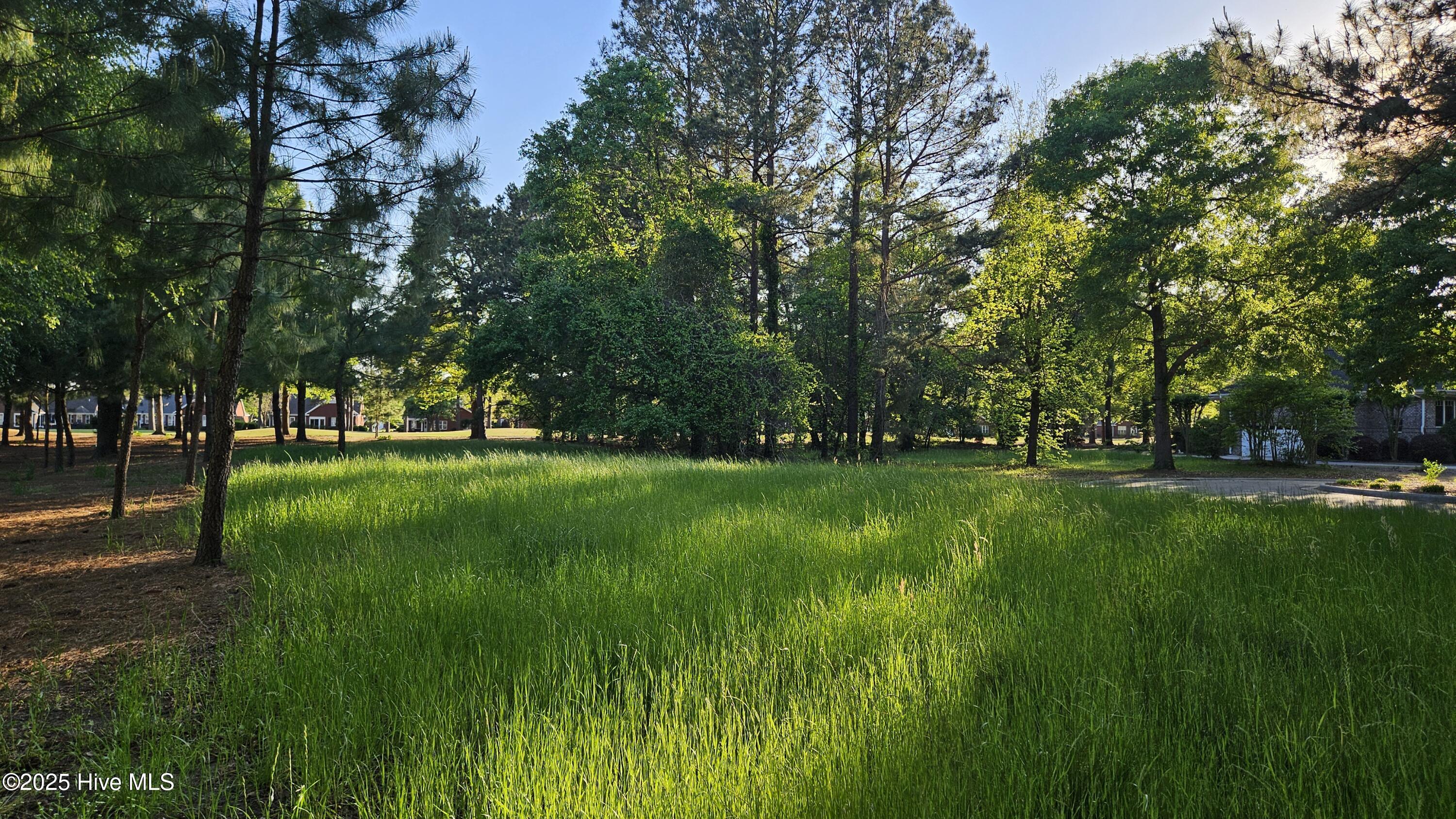 176 Red Fox Run Drive Property Photo 10