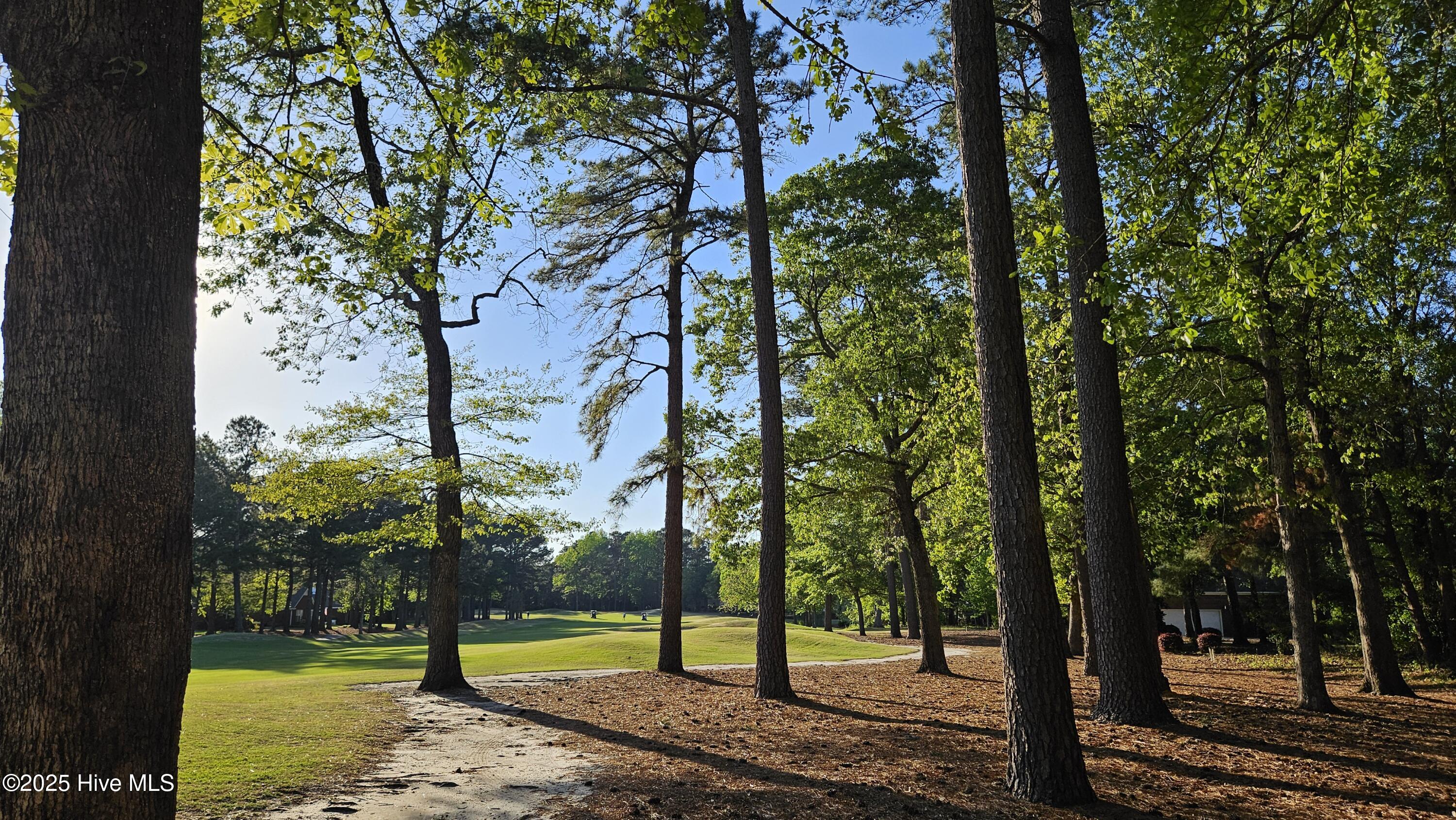 176 Red Fox Run Drive Property Photo 11