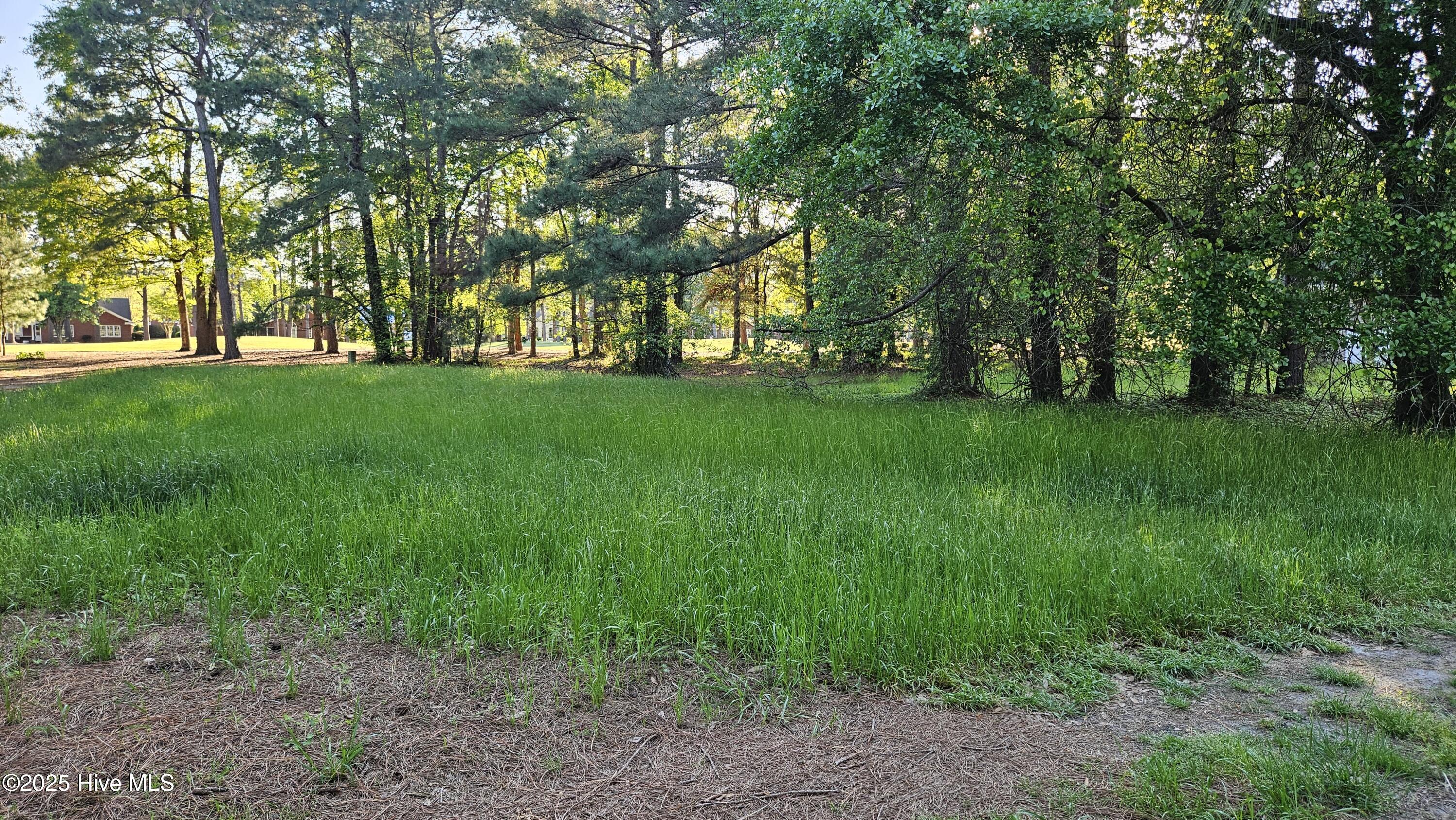 176 Red Fox Run Drive Property Photo 16