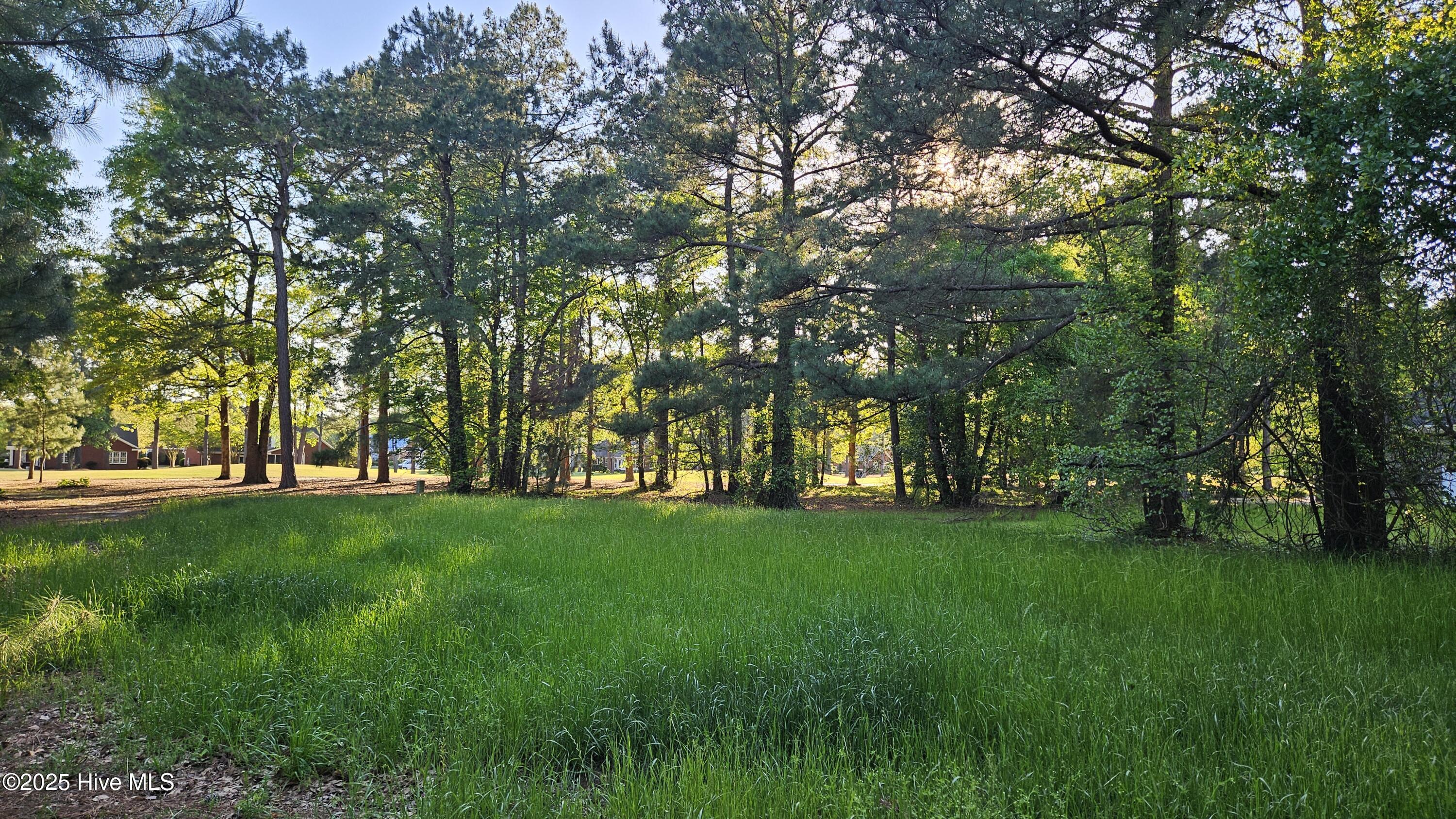 176 Red Fox Run Drive Property Photo 17