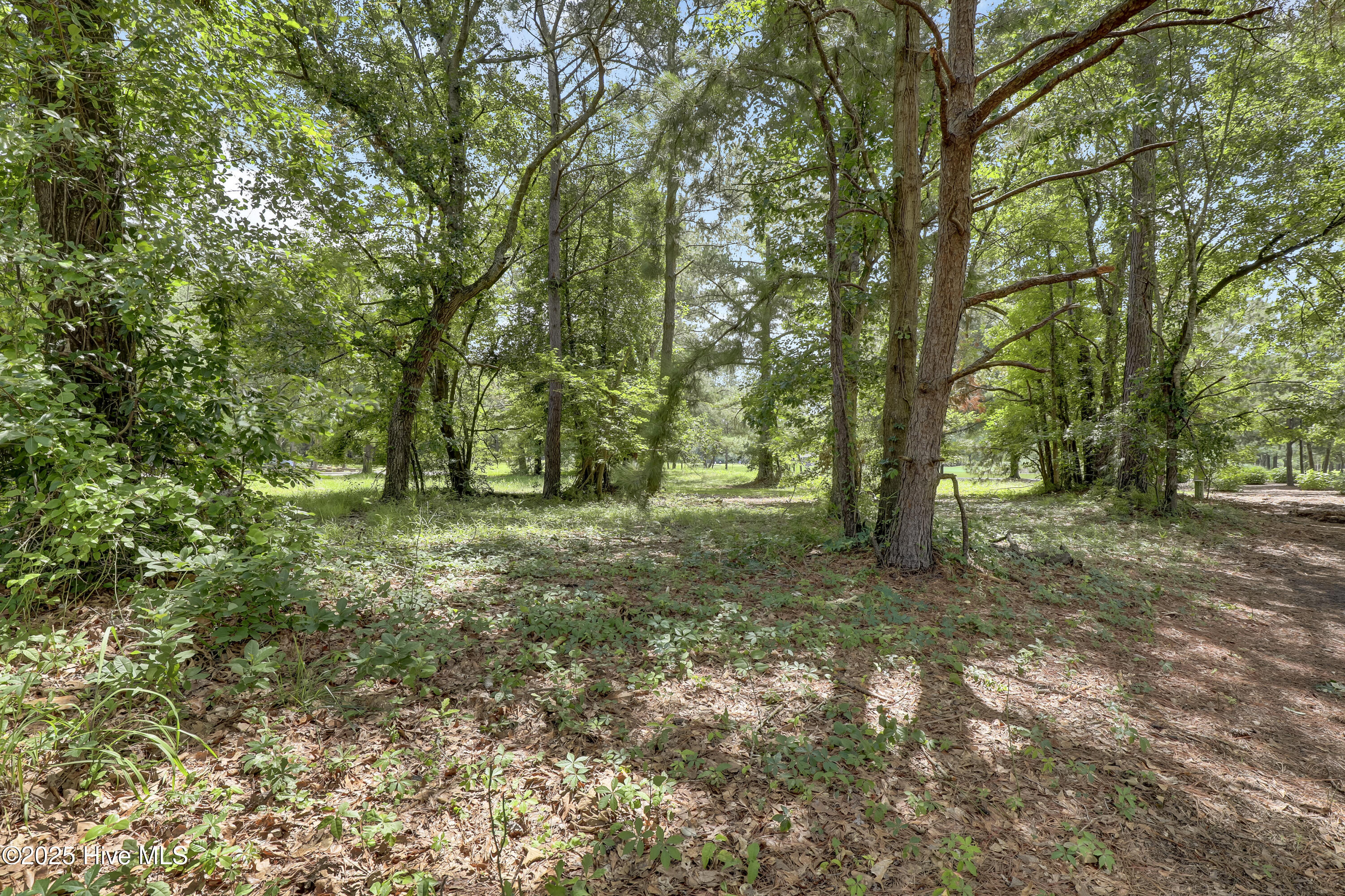 176 Red Fox Run Drive Property Photo 19