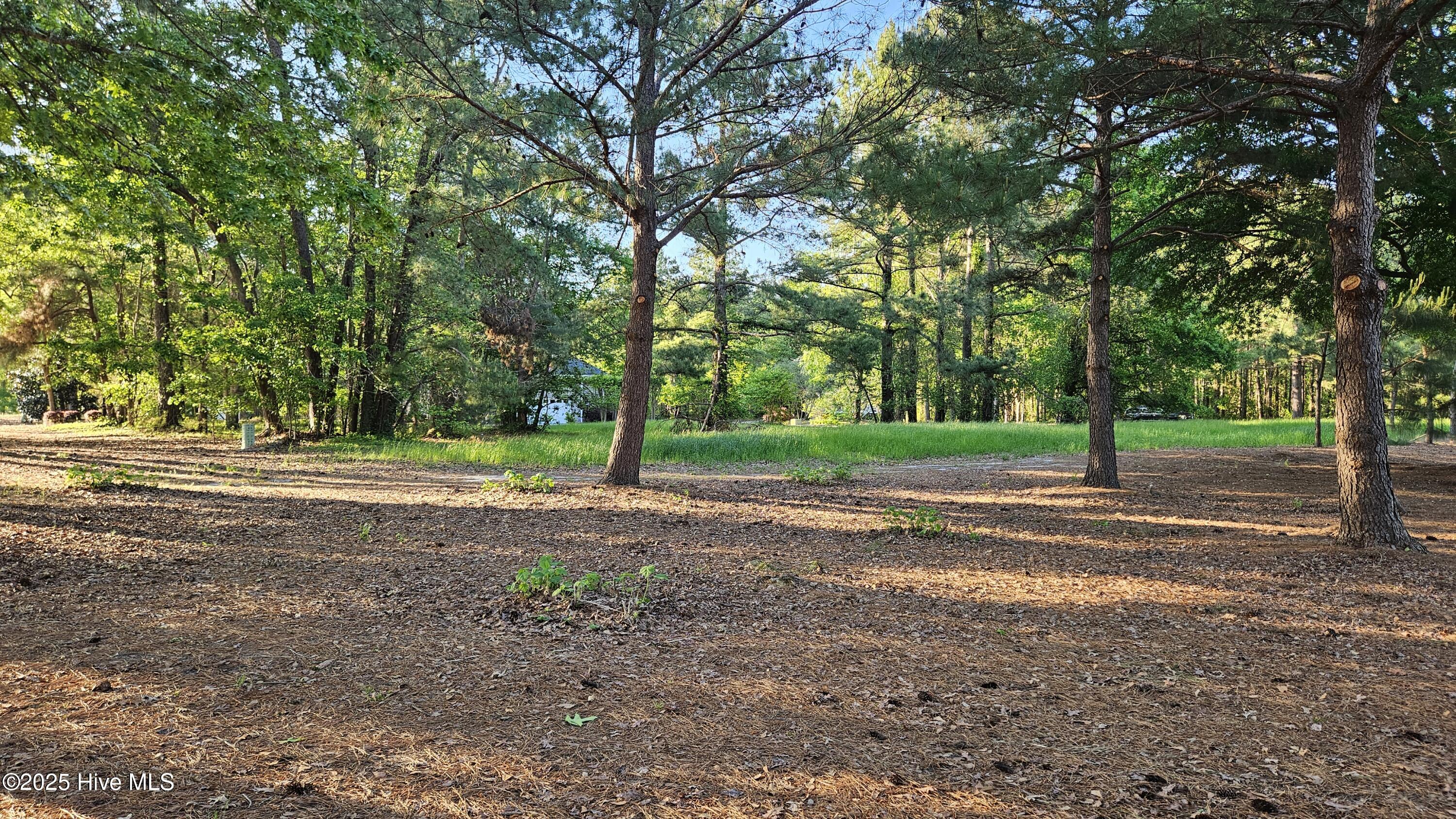 176 Red Fox Run Drive Property Photo 21