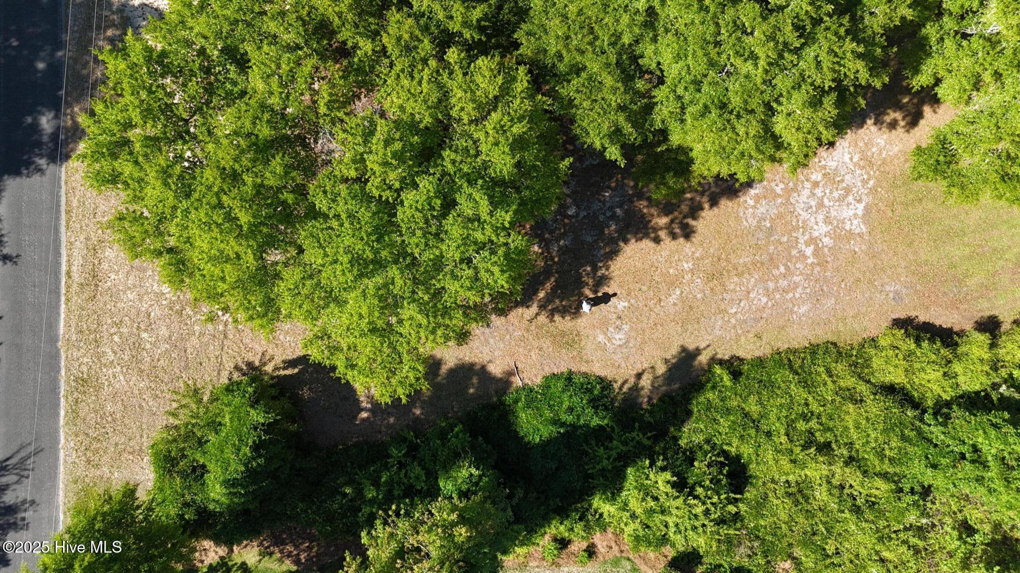 7631 Scout Camp Hatila Road Property Photo 8