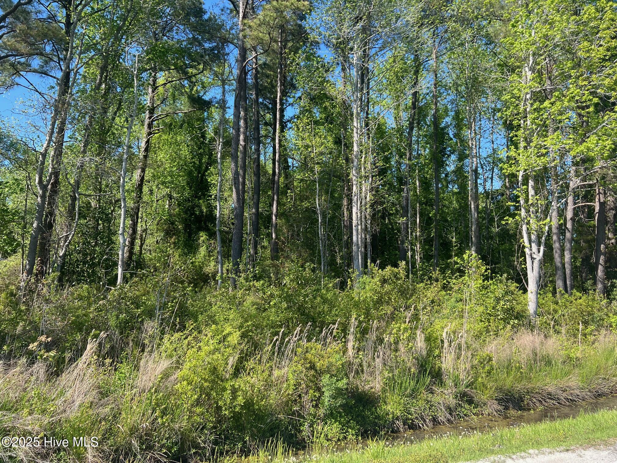 770 Laurel Road Property Photo 2