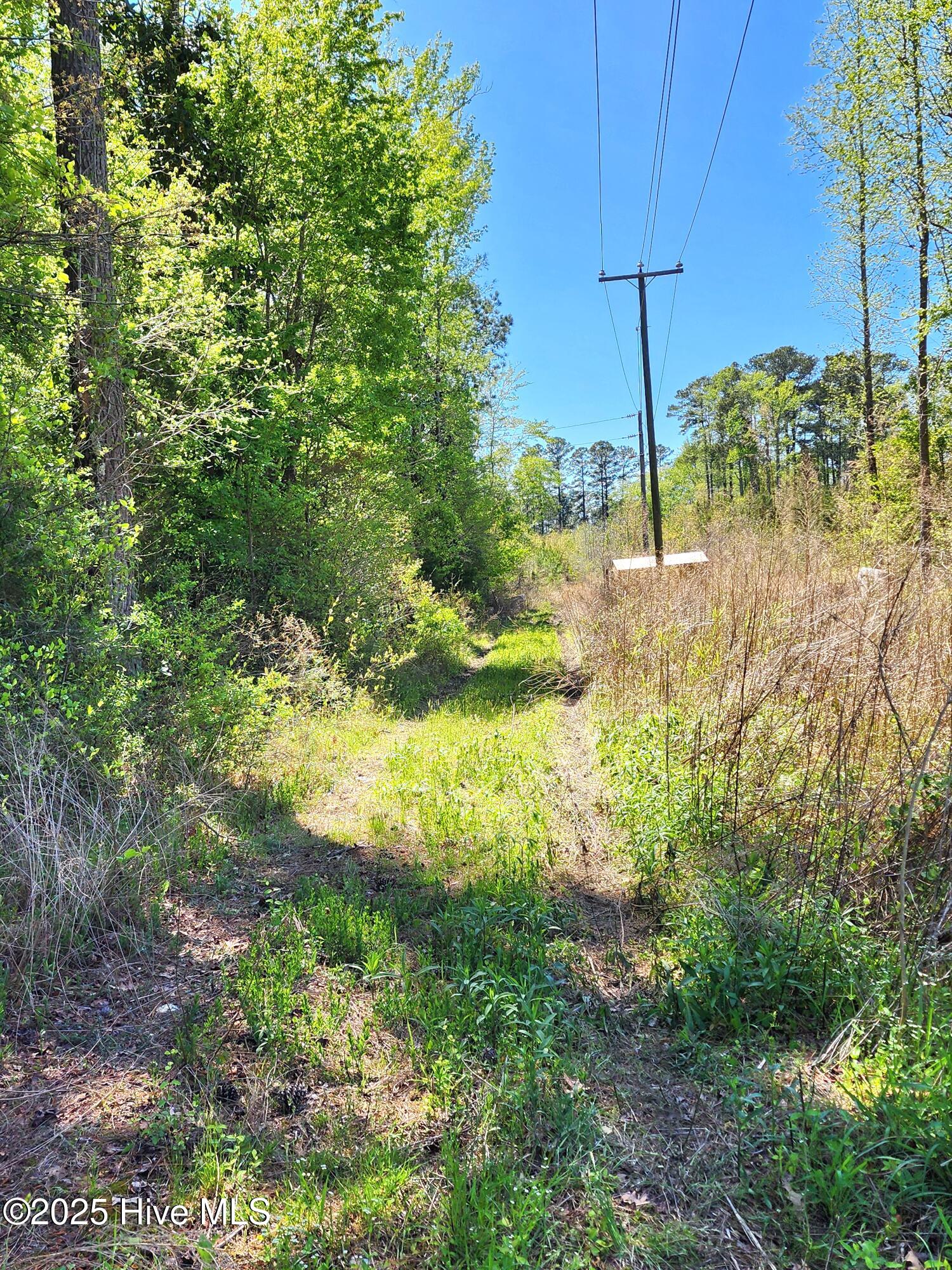Aulander Real Estate Listings Main Image