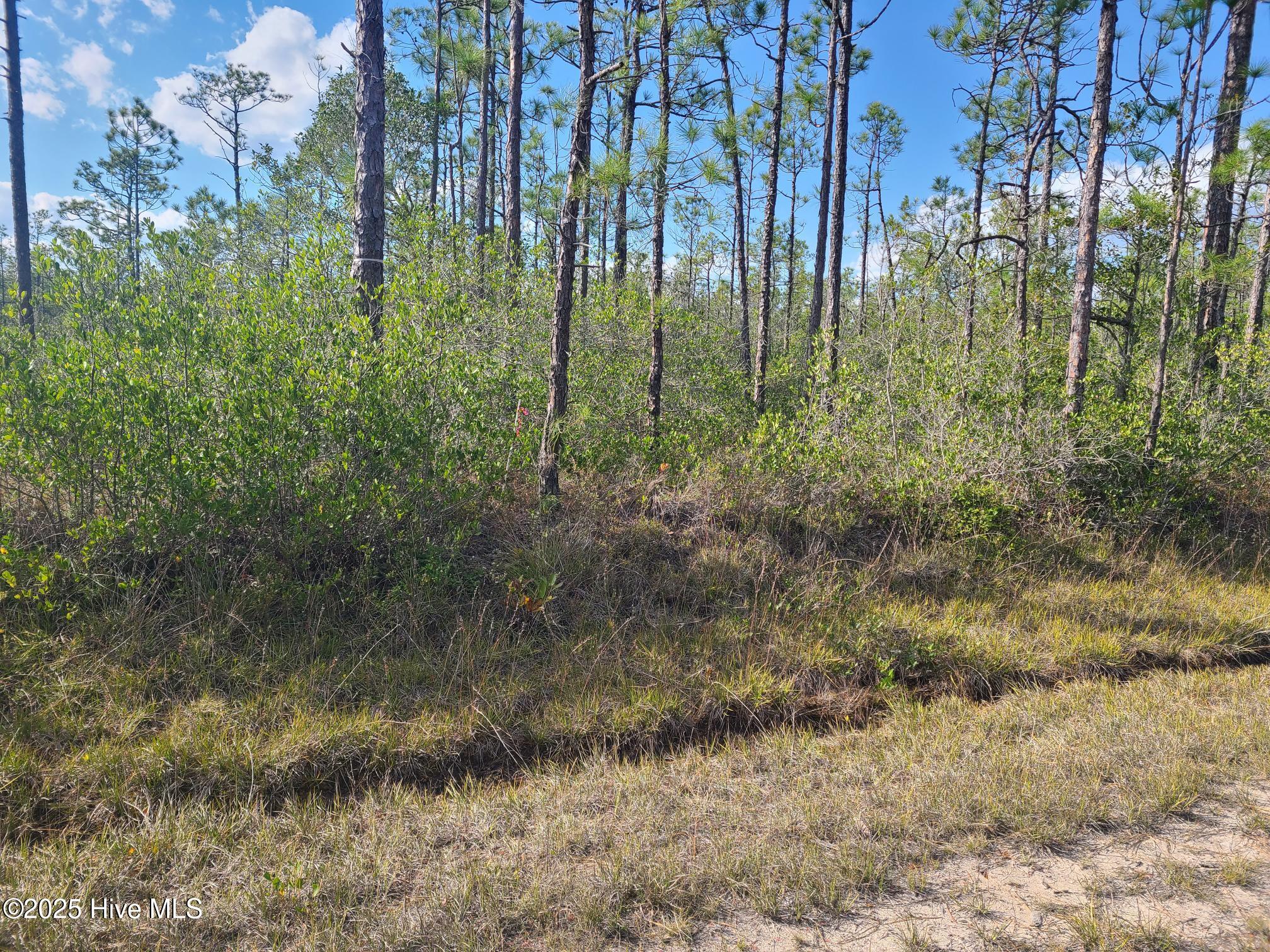 Boiling Spring Lakes Real Estate Listings Main Image