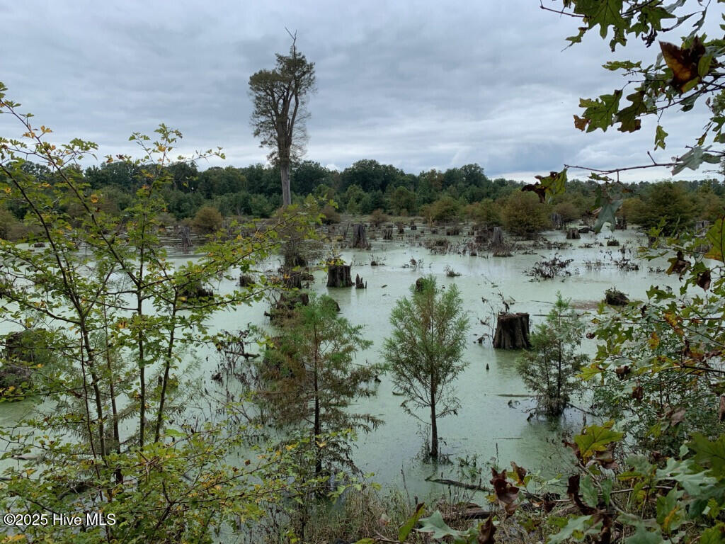 1064 Stevens Mill Road Property Photo 4