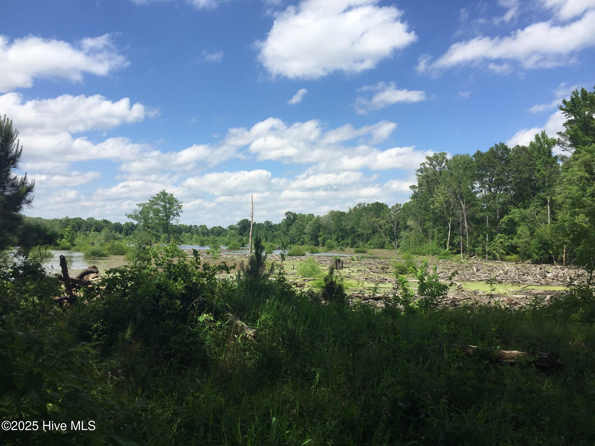 1064 Stevens Mill Road Property Photo 5