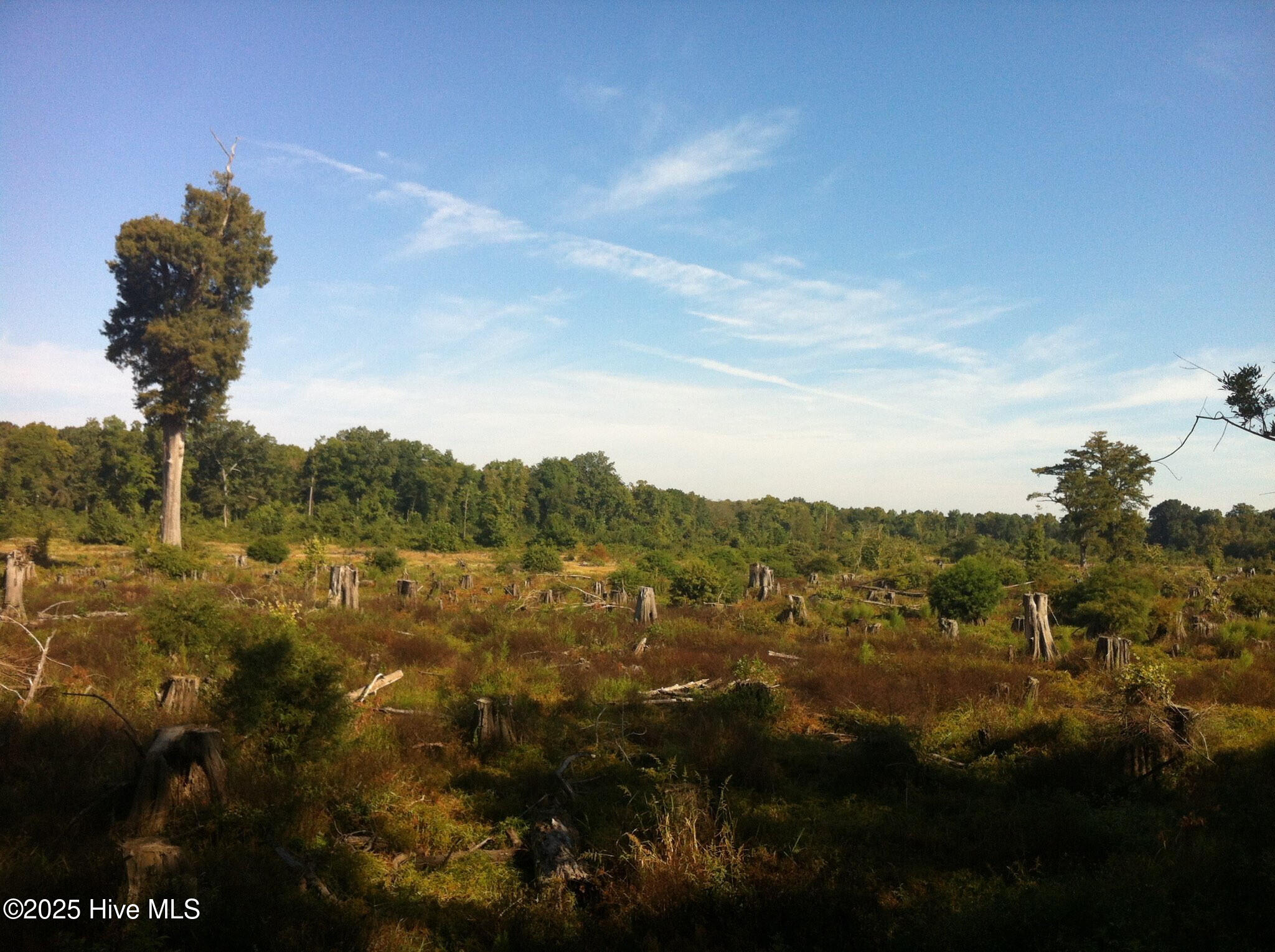 1064 Stevens Mill Road Property Photo 6