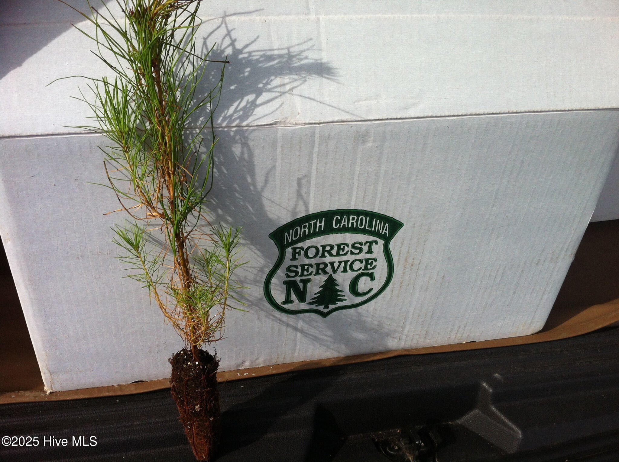 1064 Stevens Mill Road Property Photo 7