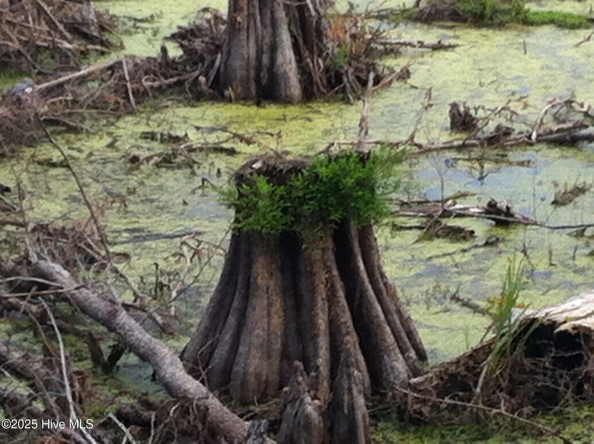 1064 Stevens Mill Road Property Photo 8