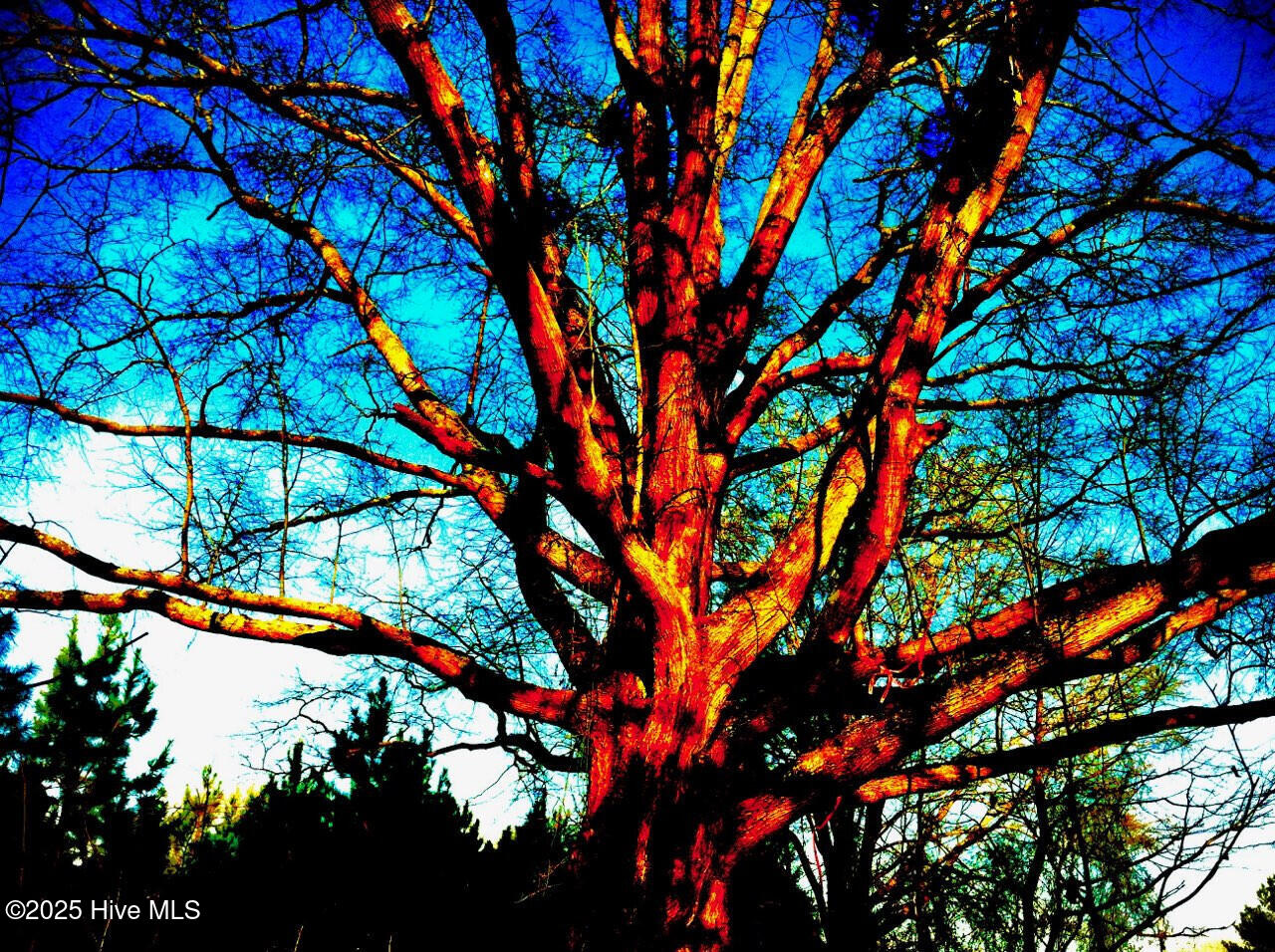 1064 Stevens Mill Road Property Photo 9