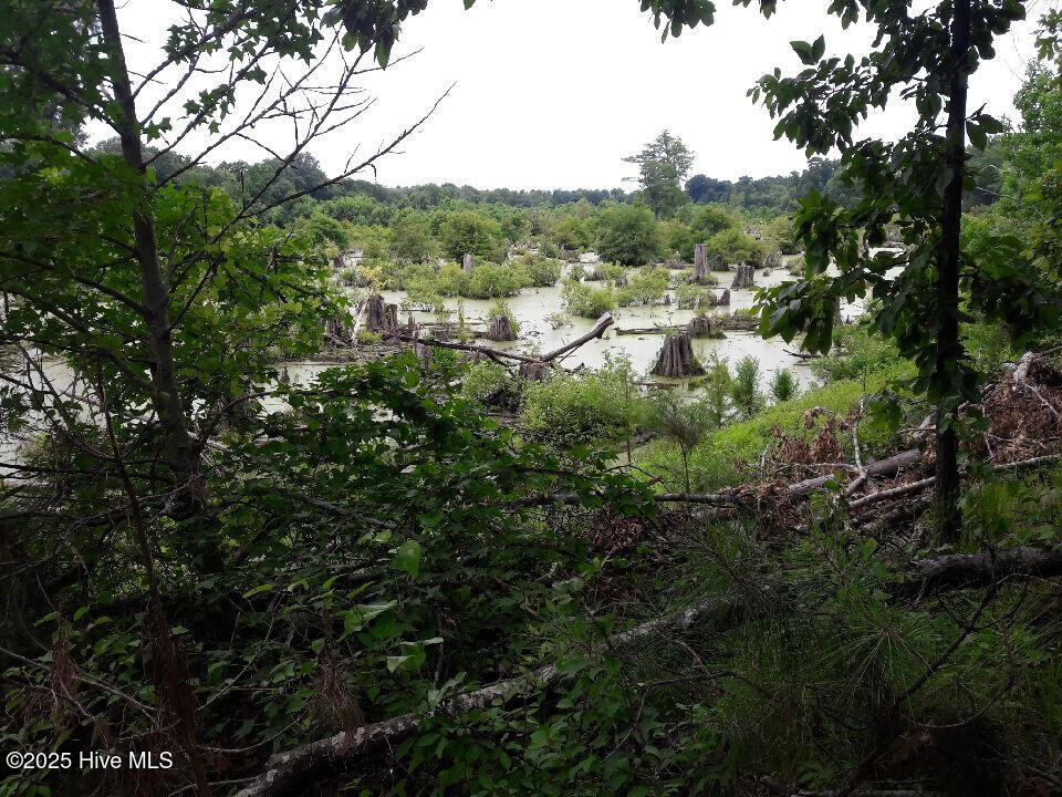 1064 Stevens Mill Road Property Photo 10