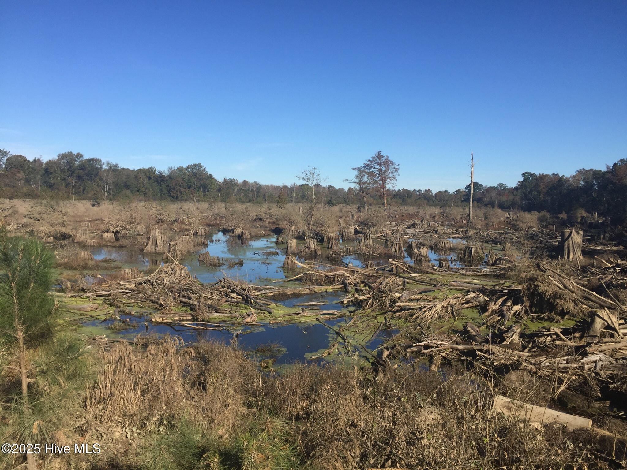 1064 Stevens Mill Road Property Photo 11